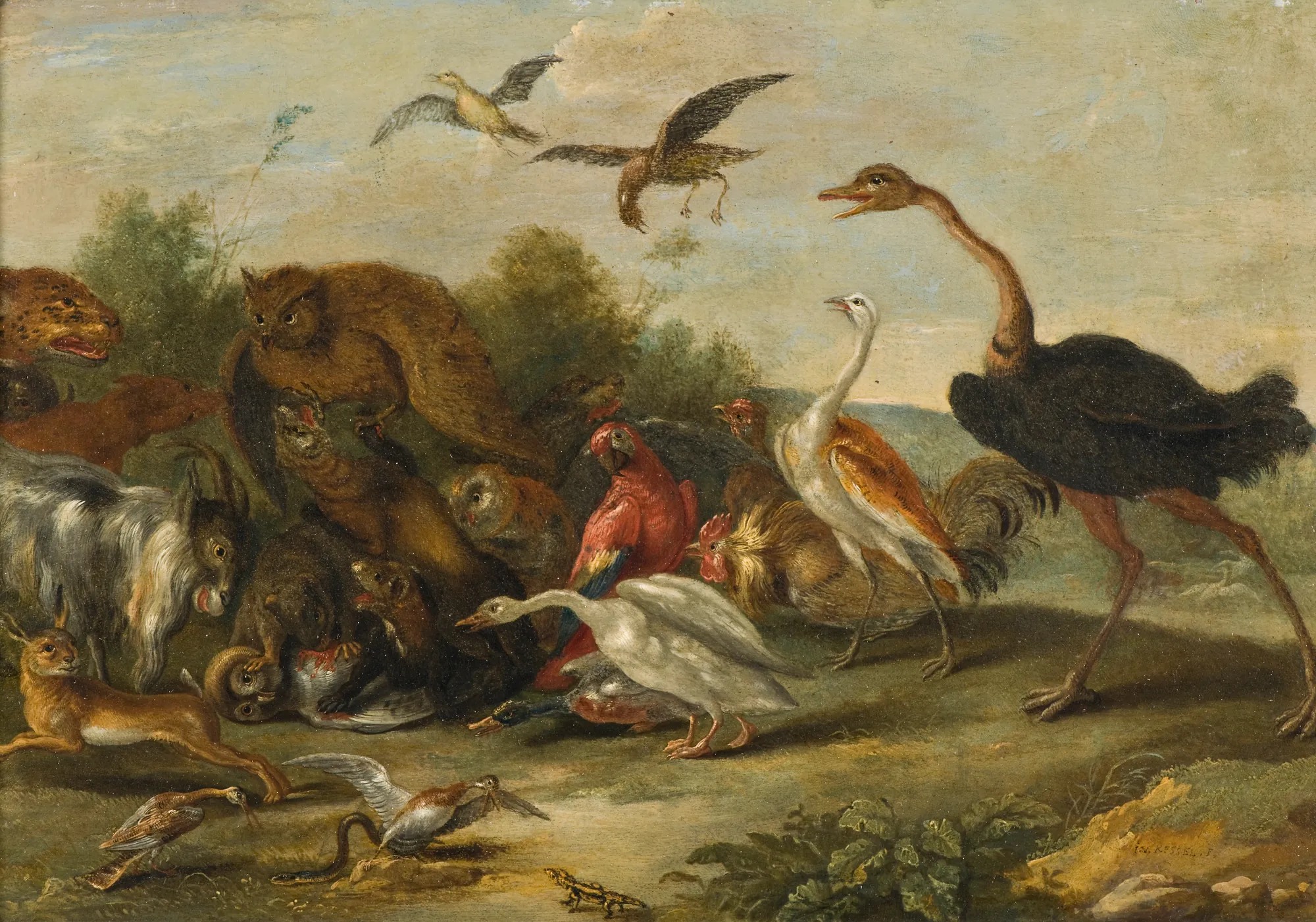 Battle between Owls and Quadrupeds