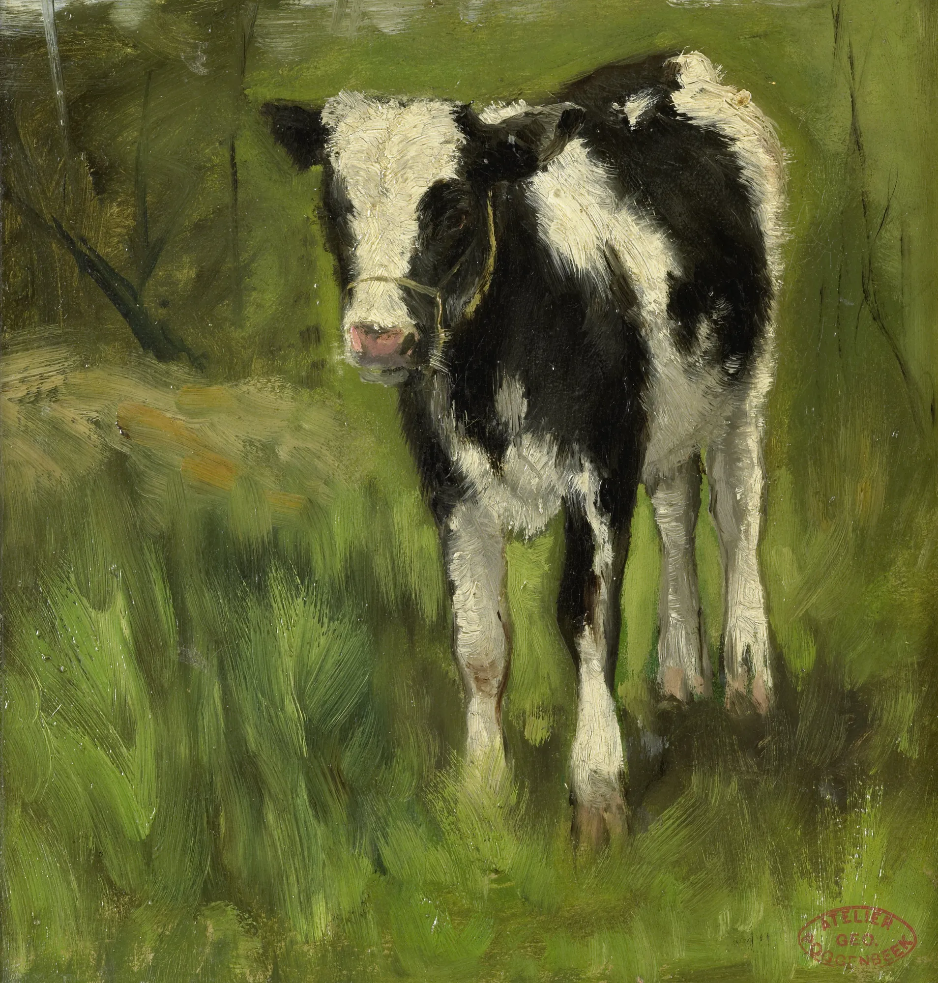 Spotted Black and White Calf