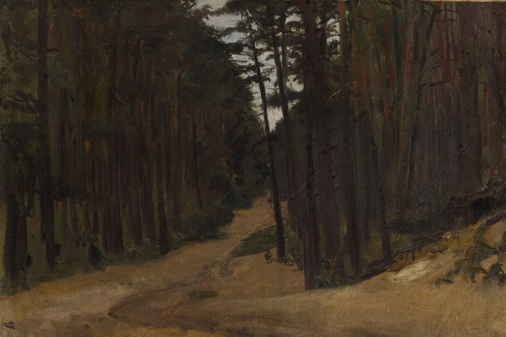 Droga w lesie (Road in the Forest)