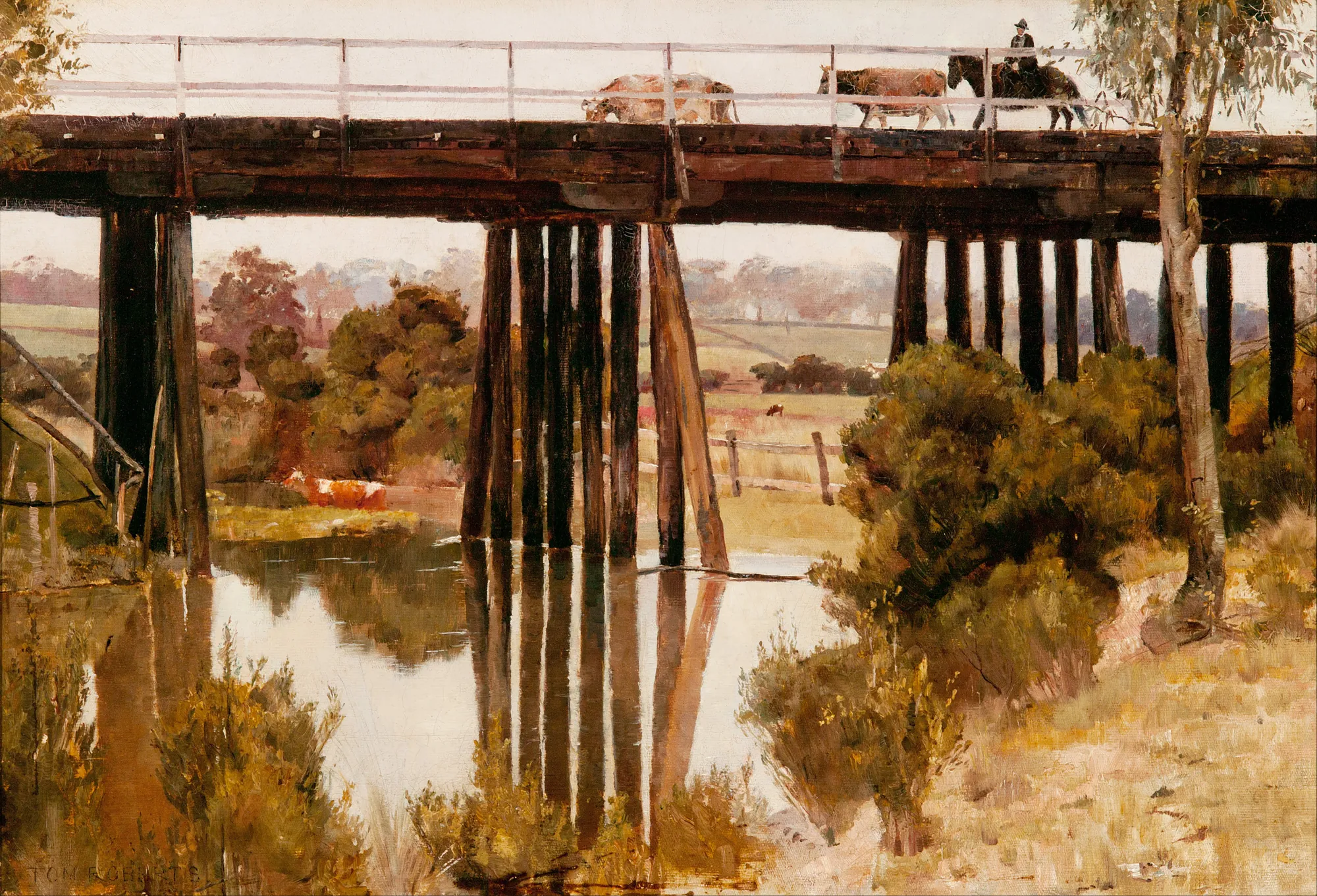 Winter Morning After Rain, Gardiner's Creek