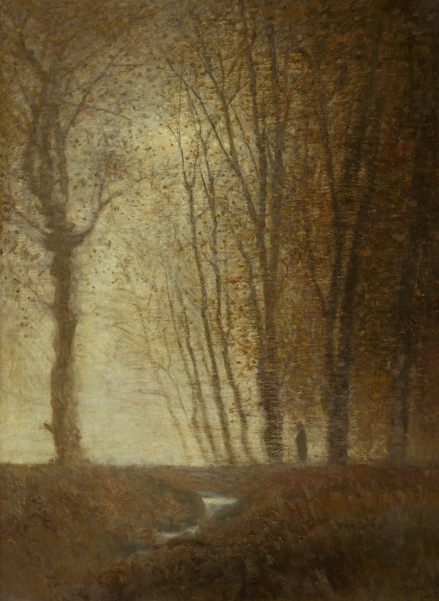 Forest Edge in Moonlight (Okraj lesa v mesačnom svite)