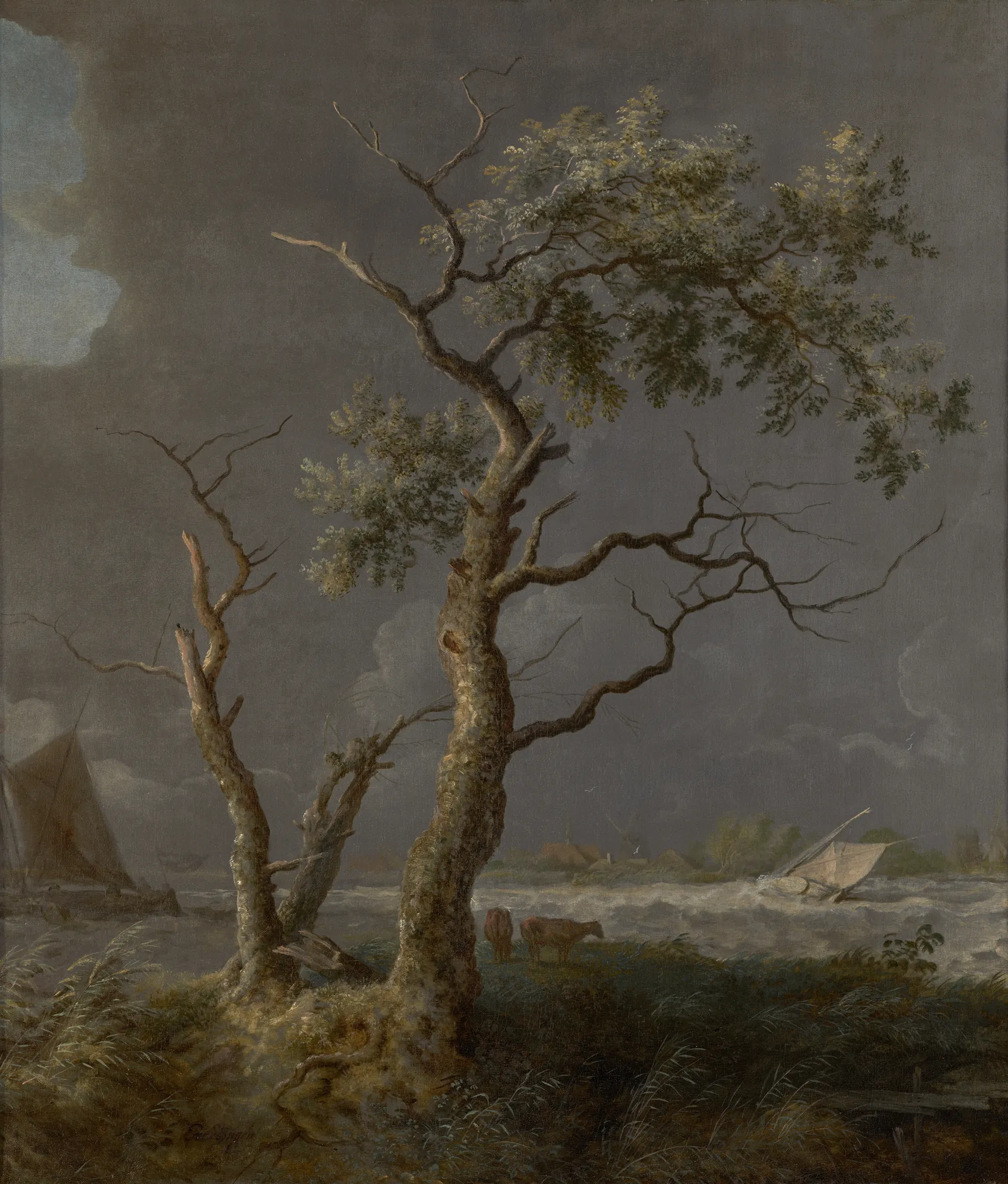 River Landscape in a Storm