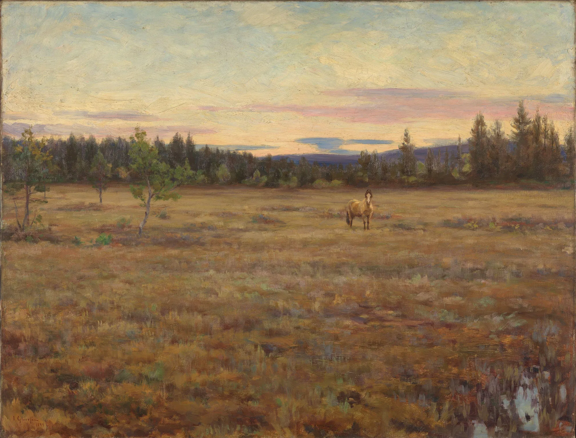 Early Autumn Morning