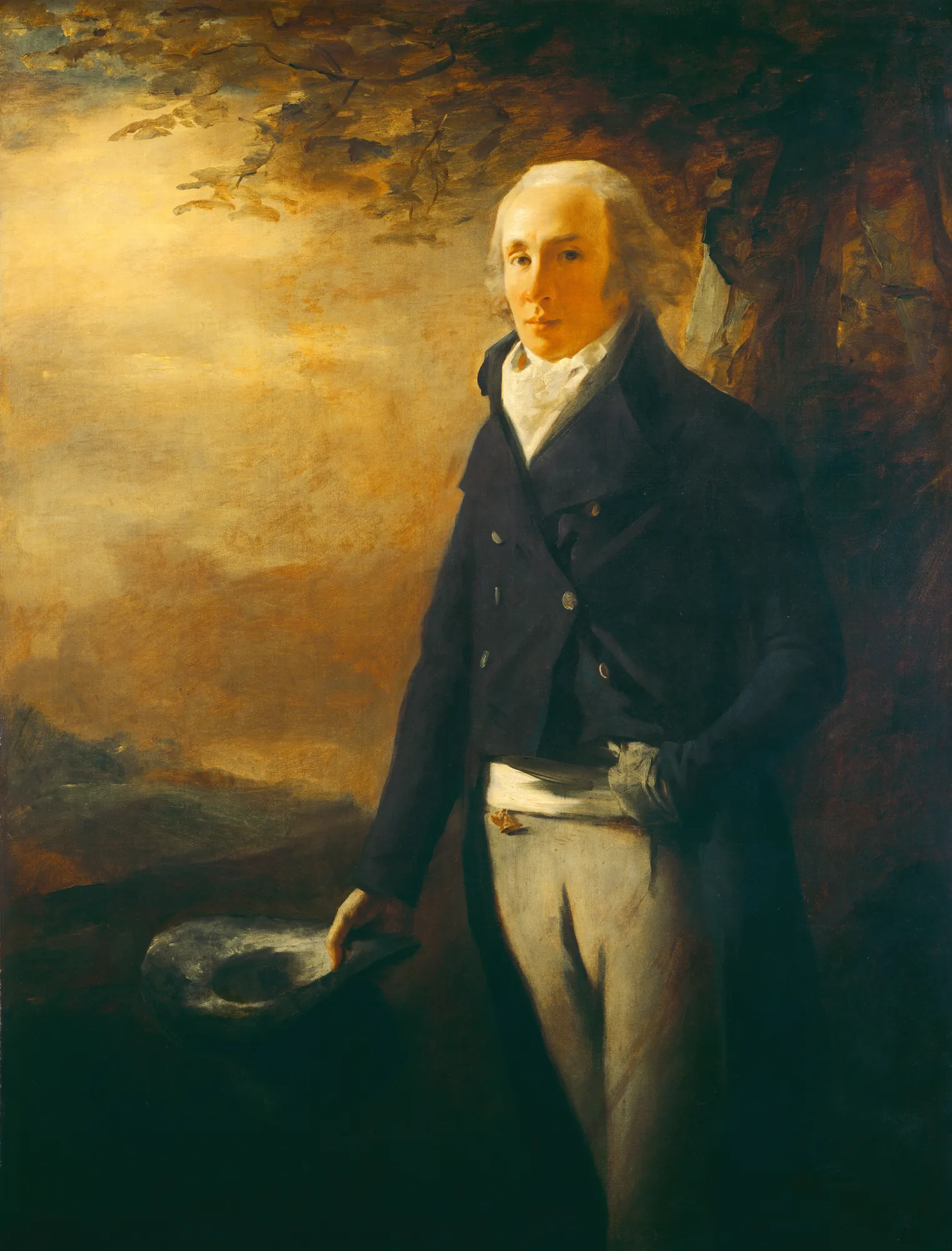 David Anderson David Anderson by Henry Raeburn. A three-quarter length portrait of a man in a dark navy coat and cream trousers standing against a golden-hued, atmospheric landscape.