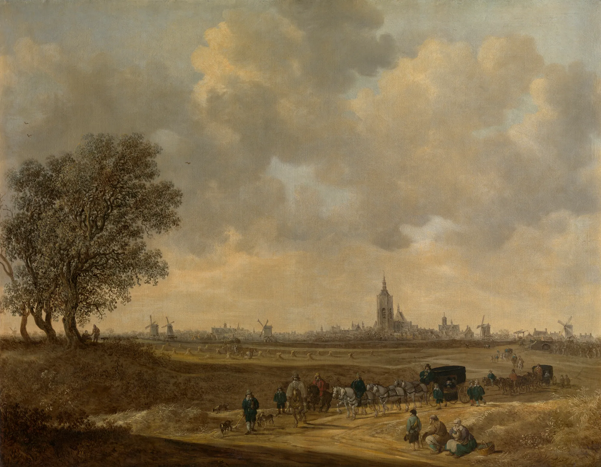 Landscape