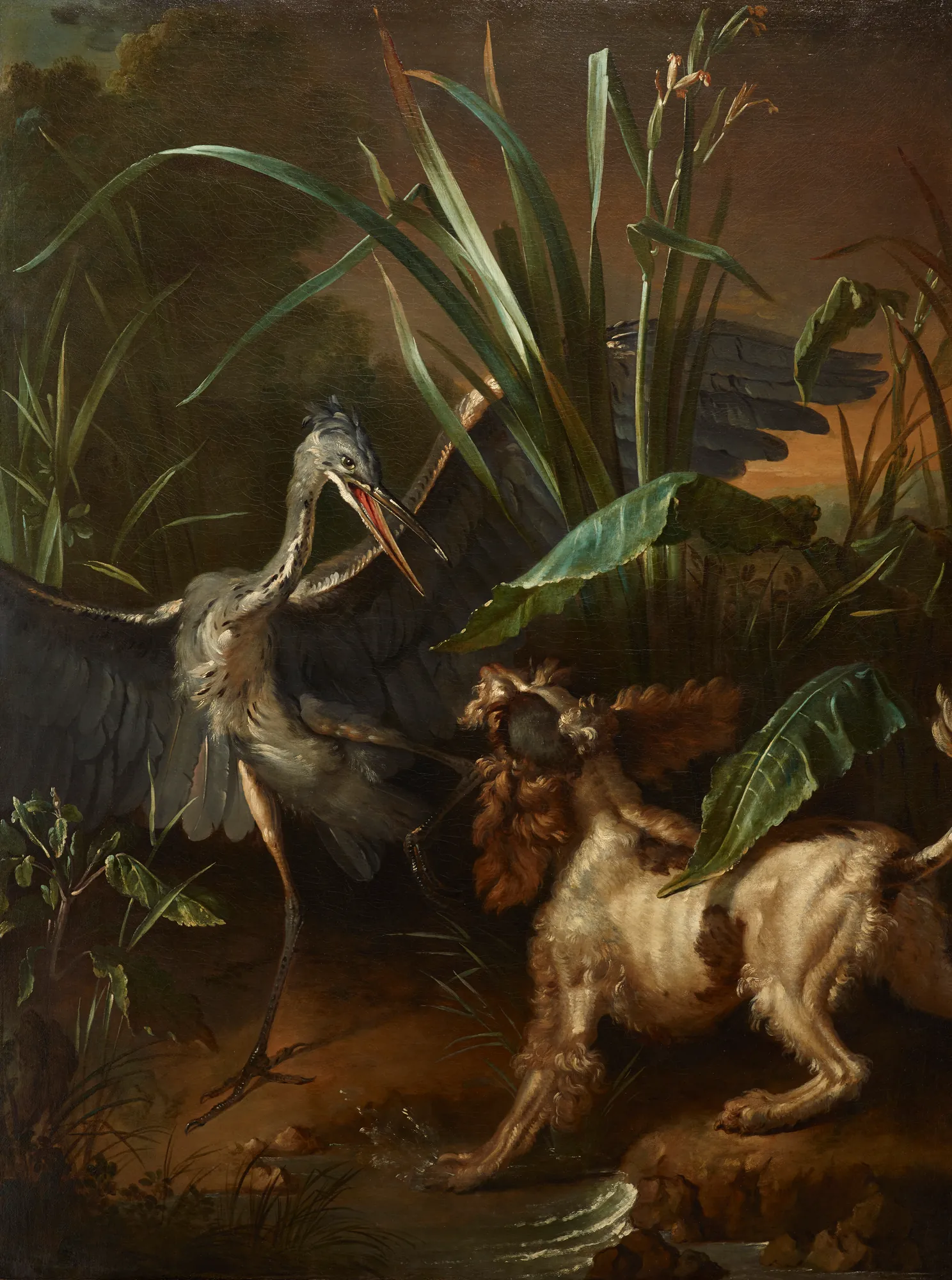 Water Spaniel Confronting a Heron