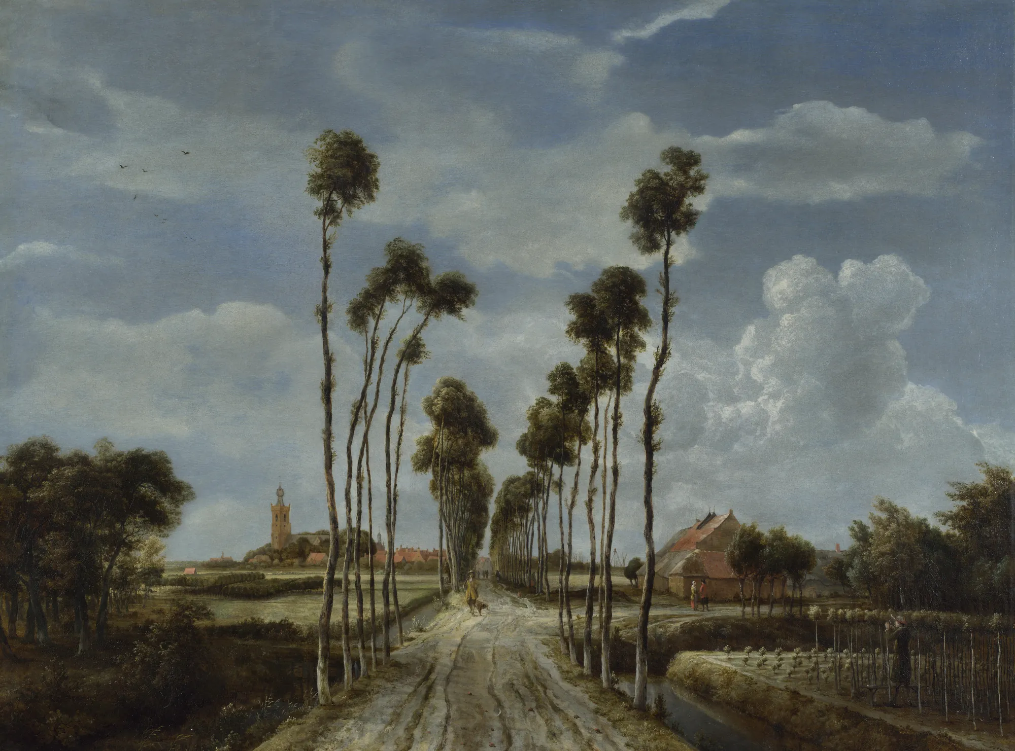 The Avenue at Middelharnis