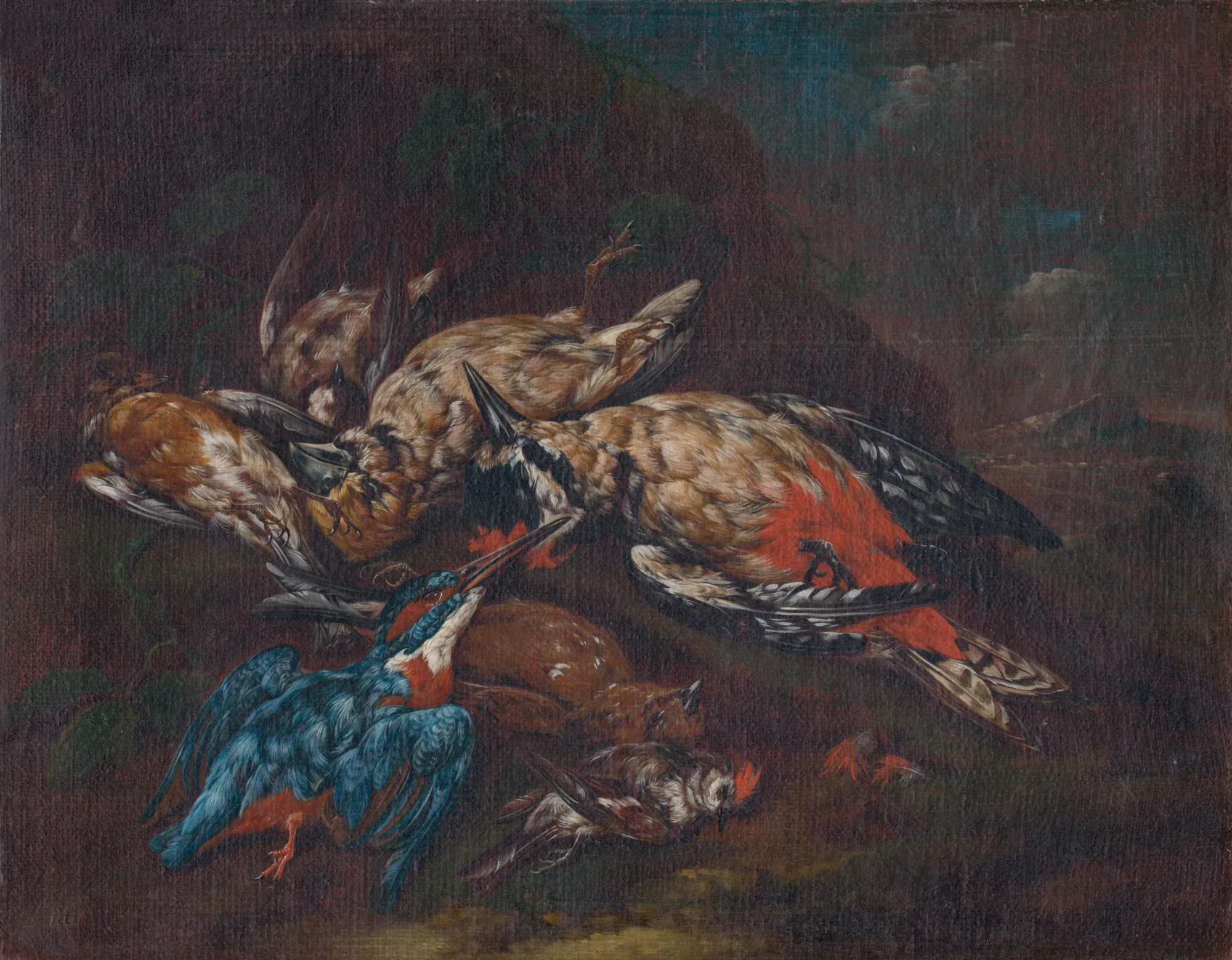 Still Life with Dead Birds Still Life with Dead Birds by Franz Michael Sigismund von Burgau the Elder. A collection of hunted birds, including a vibrant blue kingfisher and a red-bellied woodpecker, arranged in a heap against a dark, atmospheric background.