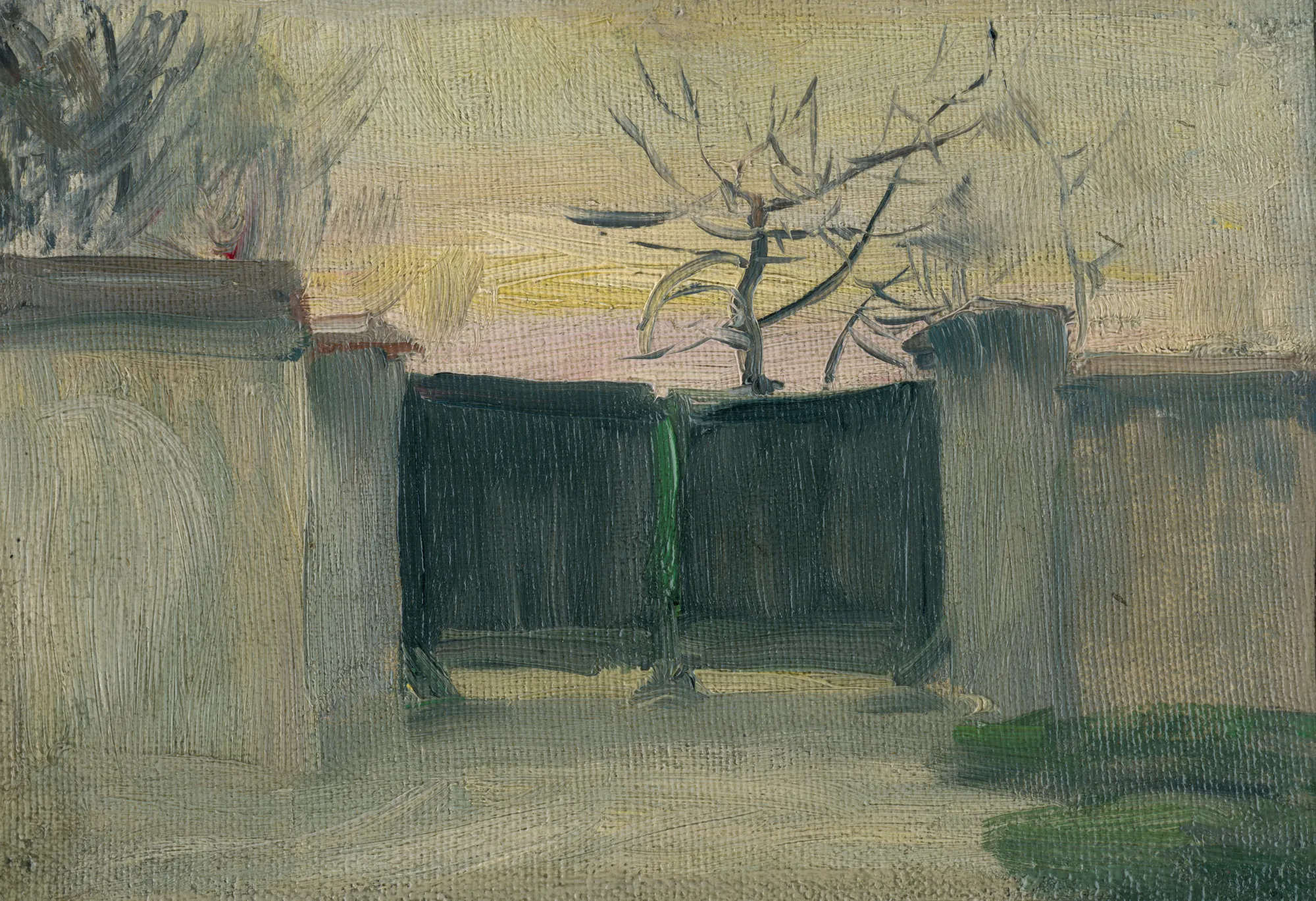 Early Evening