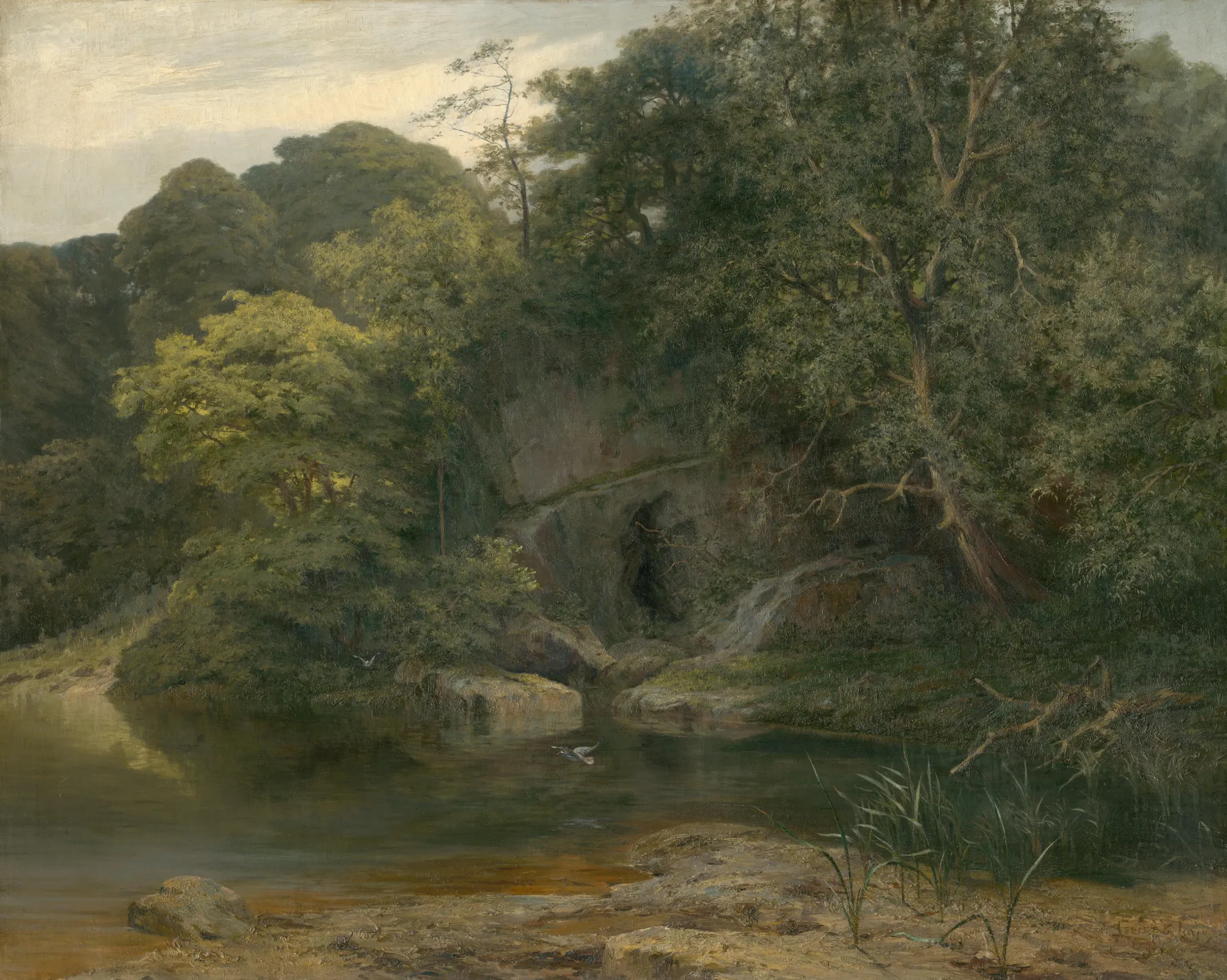 Oldřich Oak in Peruc Oldřich Oak in Peruc by Lajos Csordák. A lush, dense forest of oak and other trees surrounds a rocky bank and a dark cave-like opening reflected in a quiet pool of water.