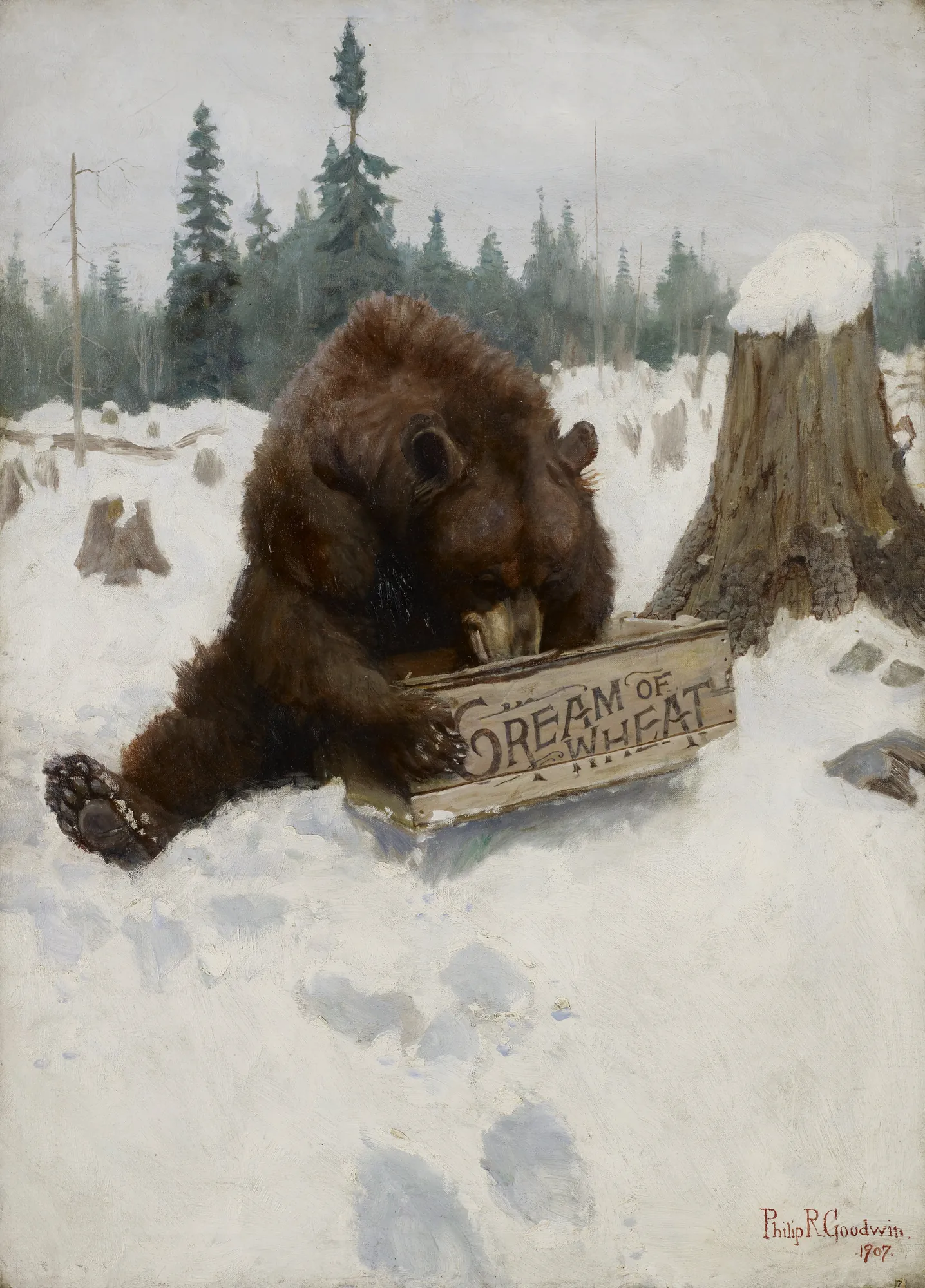 A 'Bear' Chance