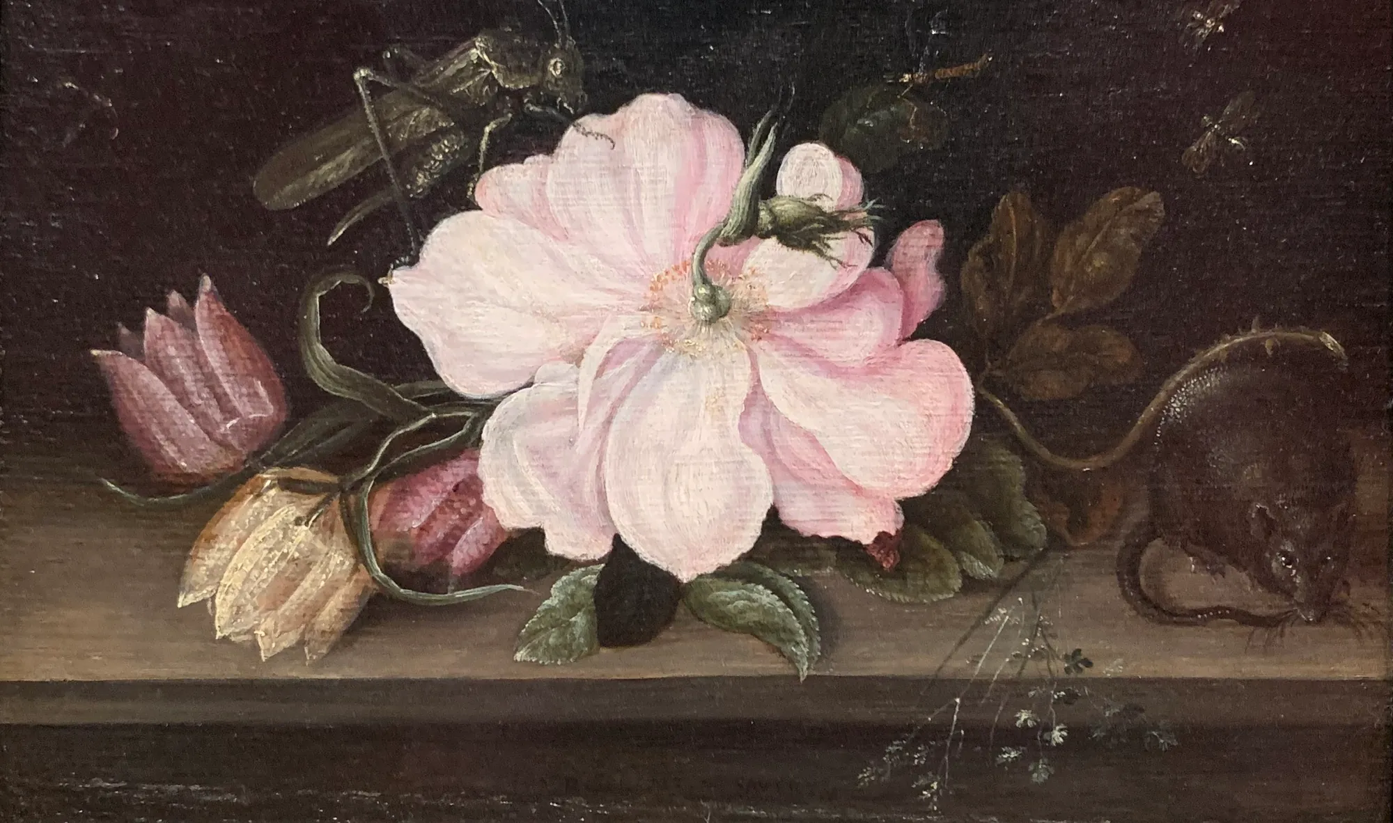 Still Life with a Rose, a Grasshopper, and a Mouse Still Life with a Rose, a Grasshopper, and a Mouse by Roelant Savery. A detailed still life featuring a large pink rose accompanied by a grasshopper, a mouse, and smaller blossoms against a dark background.