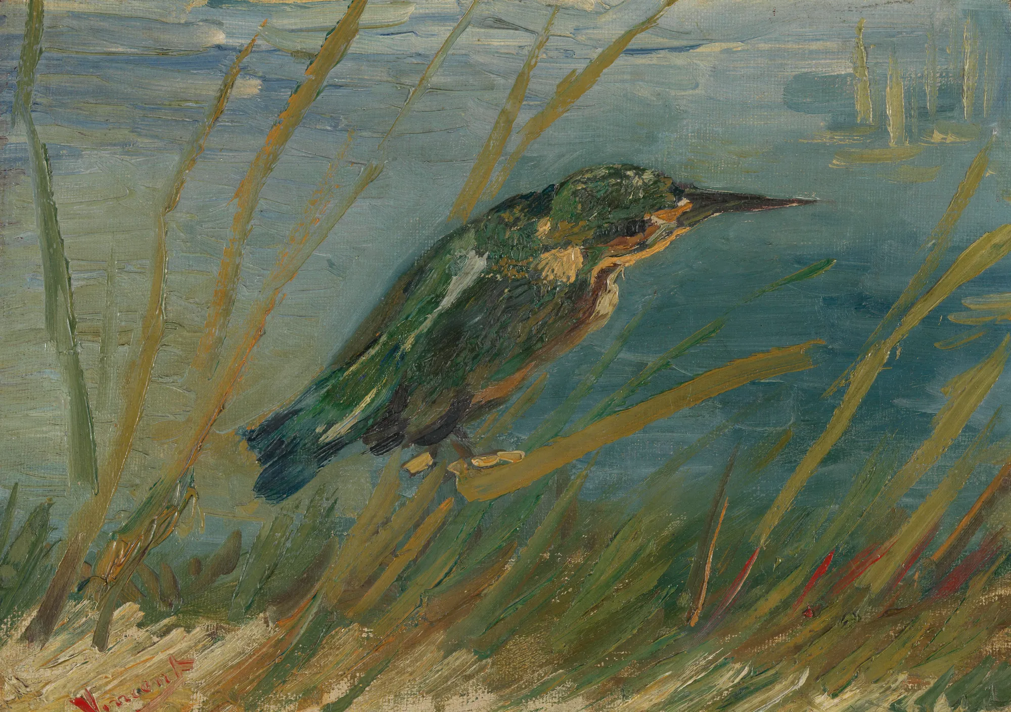 Kingfisher by the Waterside