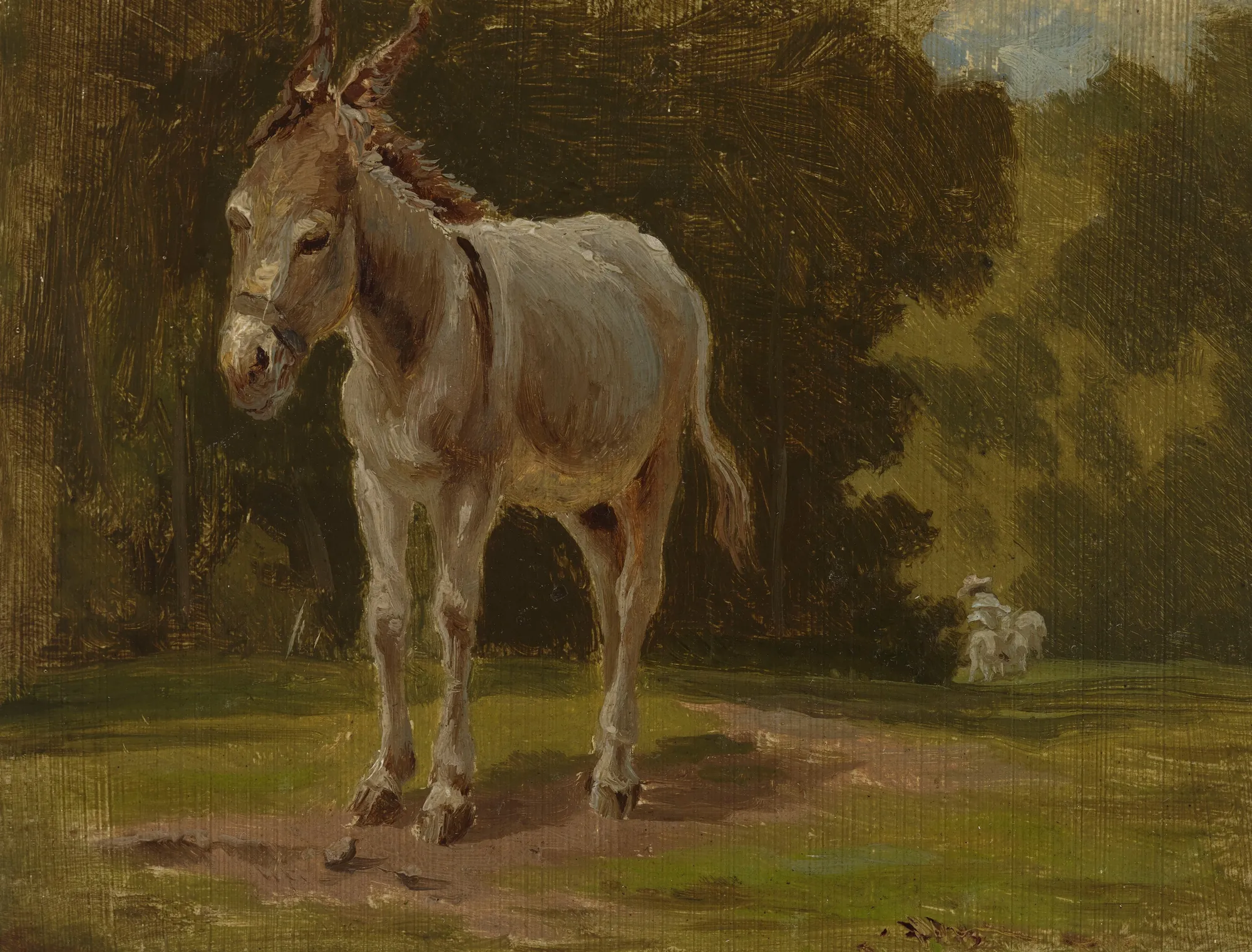 The Donkey