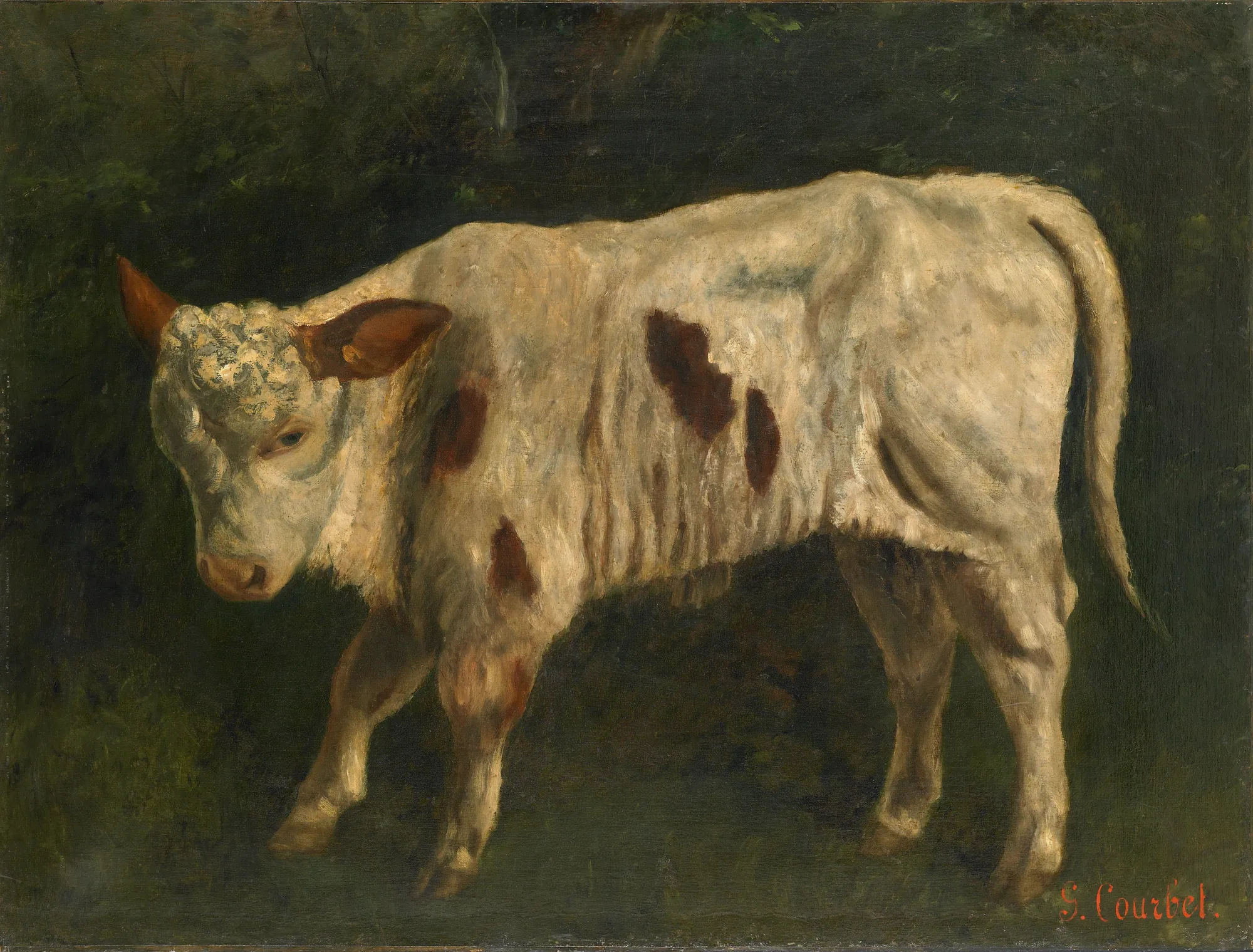Le Veau (The Calf)