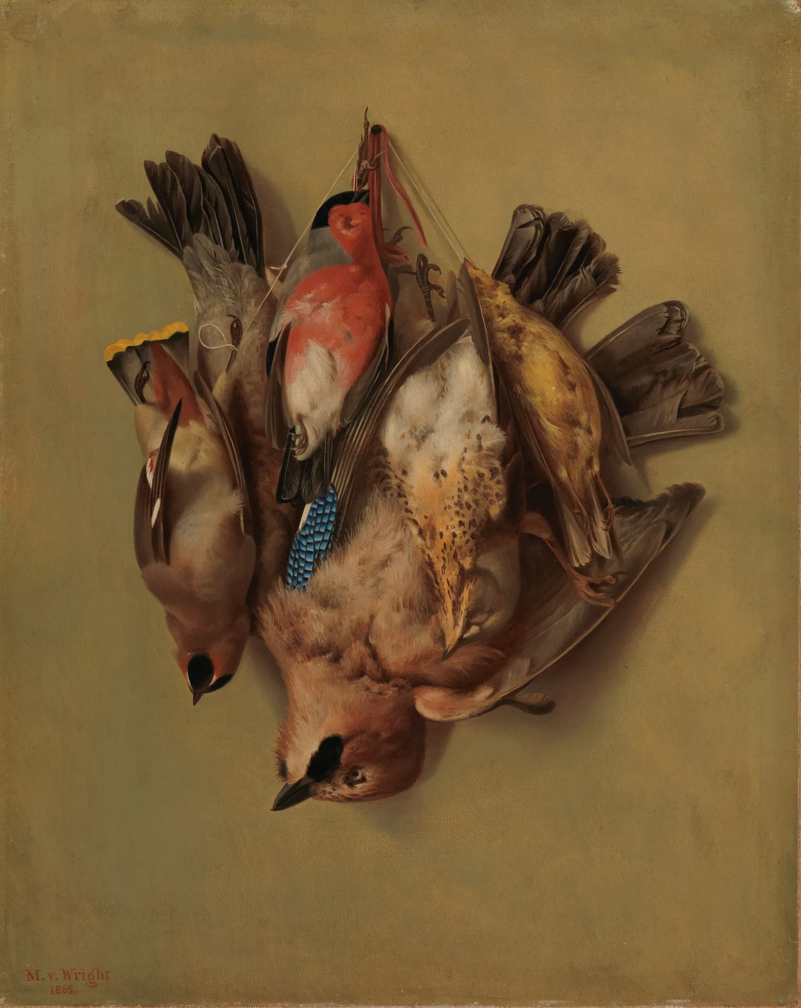 Hanging Birds
