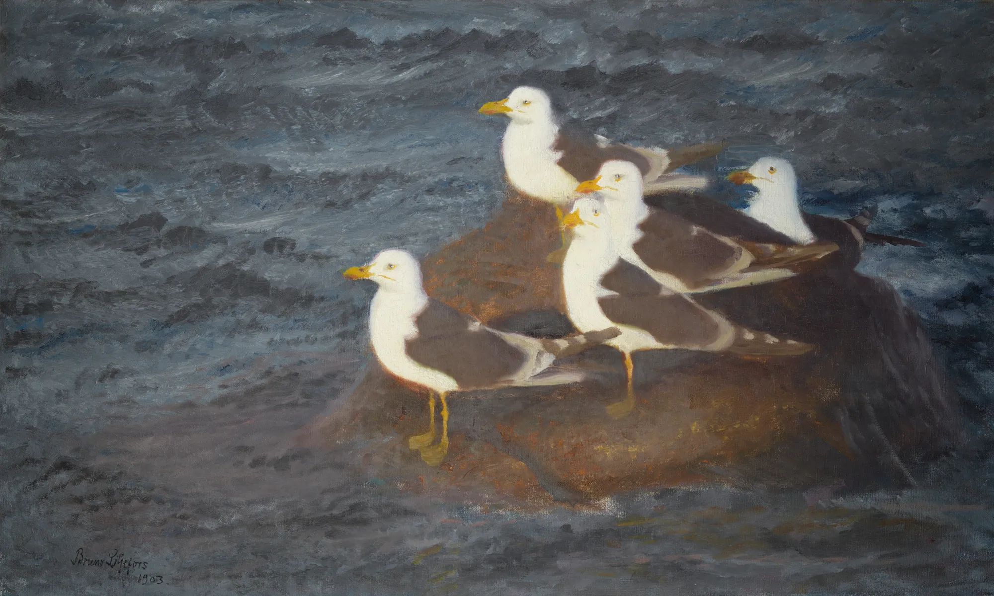 Lesser Black-backed Gulls Resting