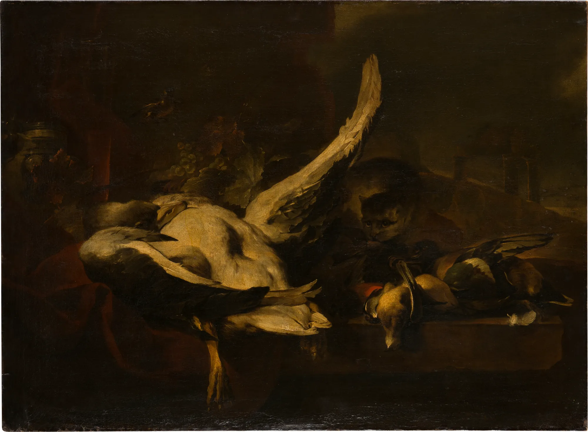 Dead Fowl Being Eaten by a Cat
