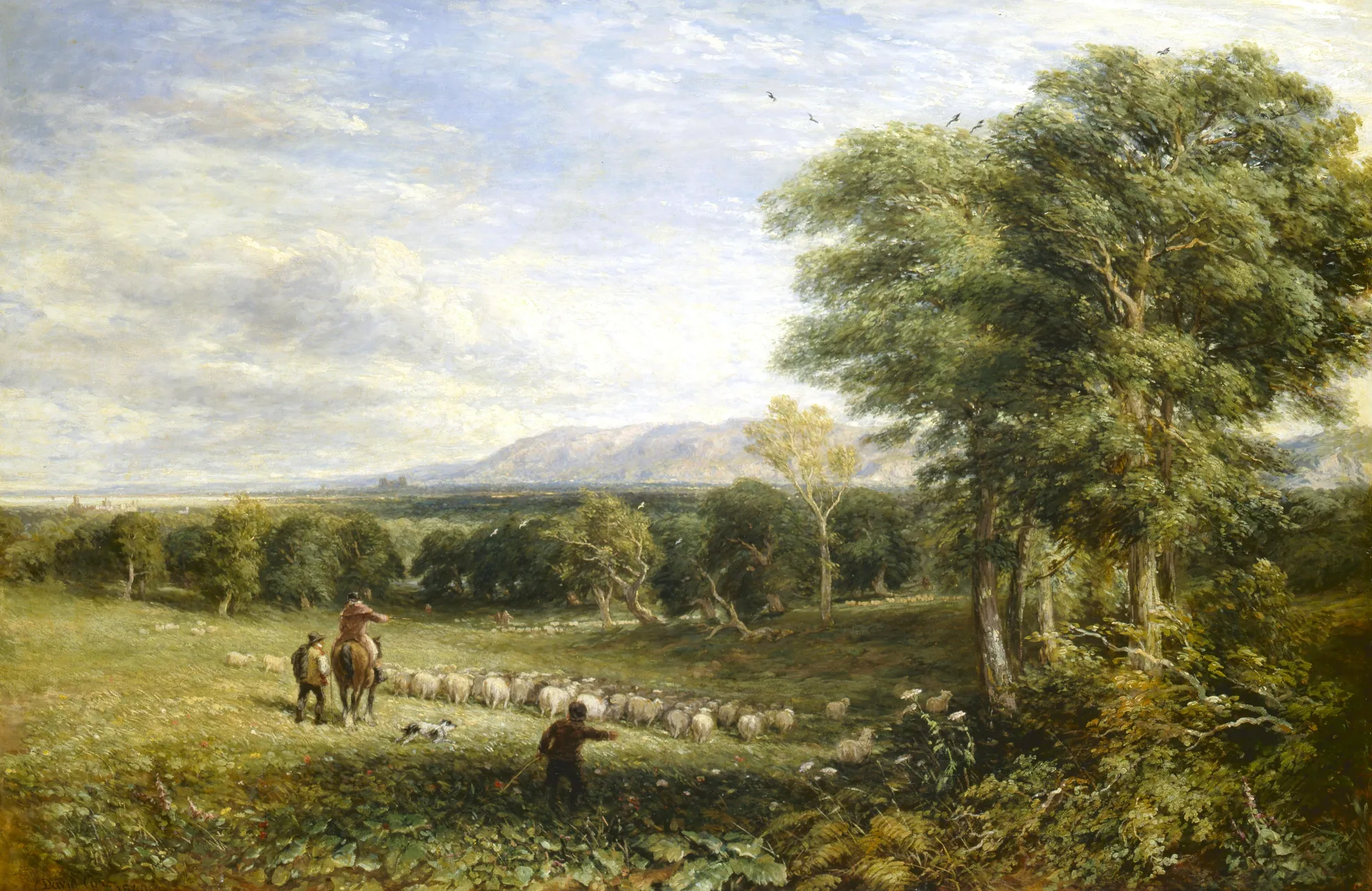 The Vale of Clwyd
