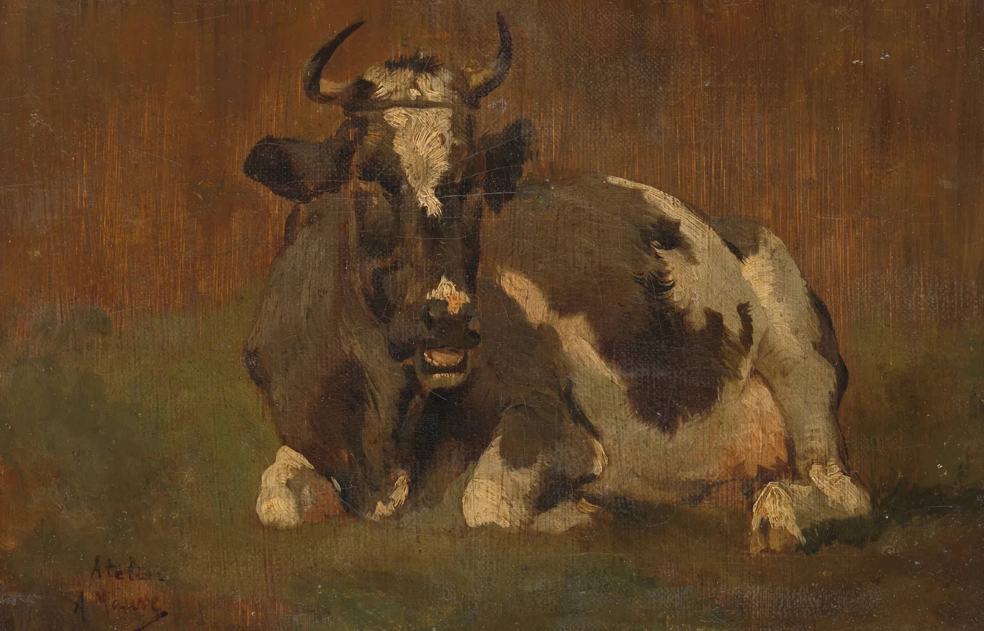 Lying Cow