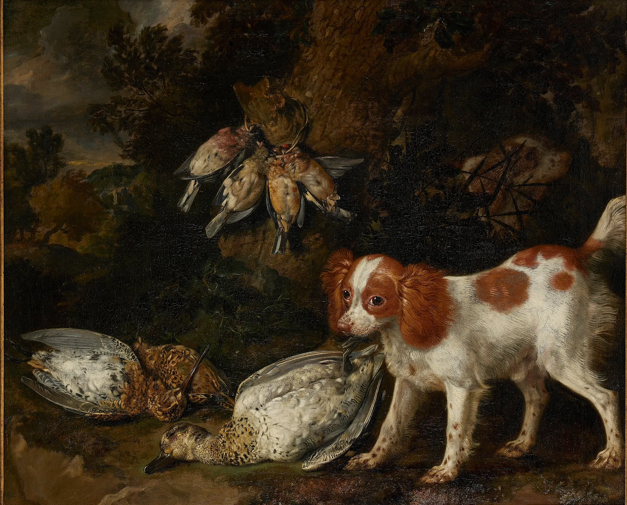 Spaniel and Game Birds Spaniel and Game Birds by Jan Baptist Weenix. A brown and white spaniel stands over a collection of dead game birds, including a duck and several songbirds, against a dark landscape.