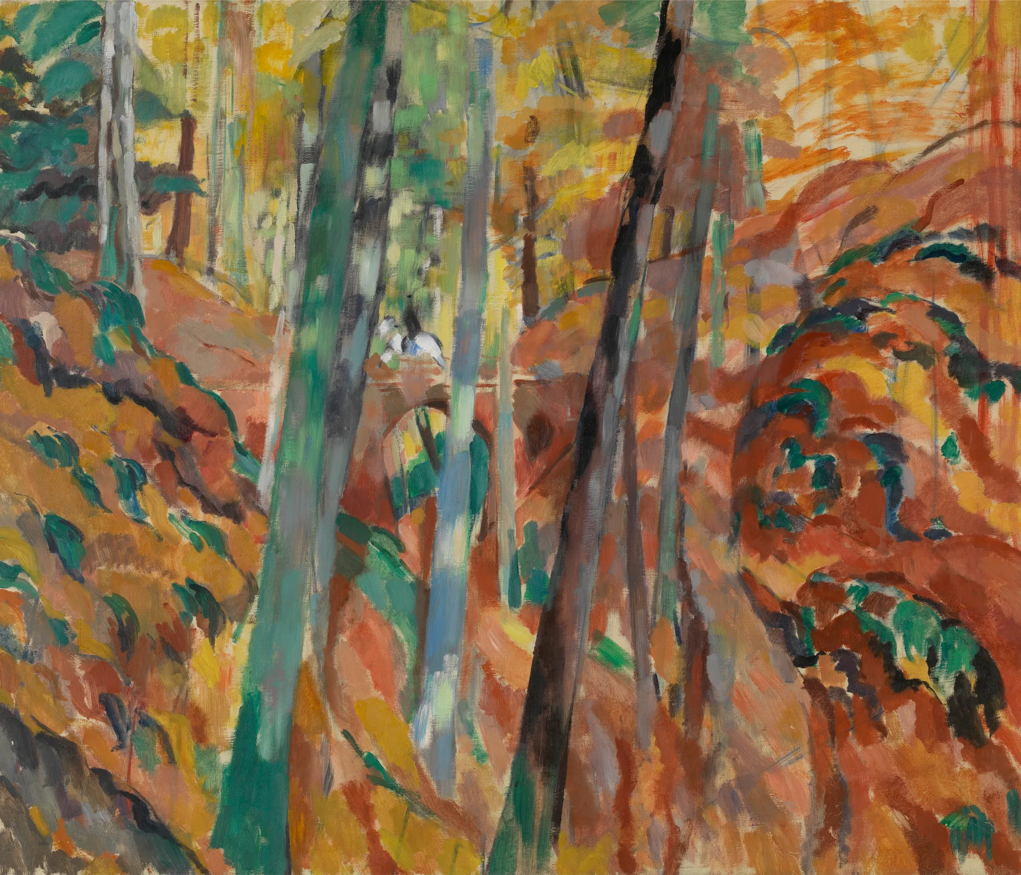 The Ravine
