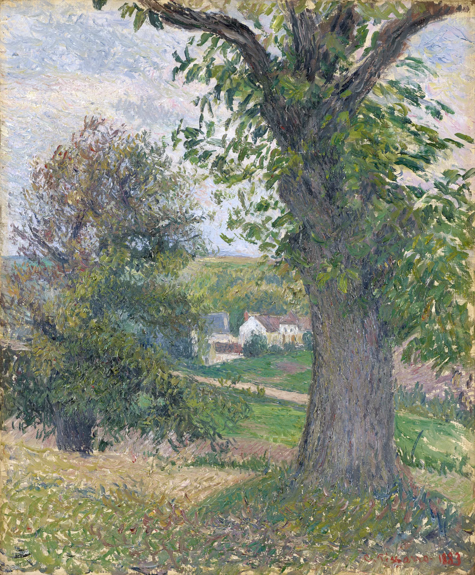Chestnut Trees at Osny