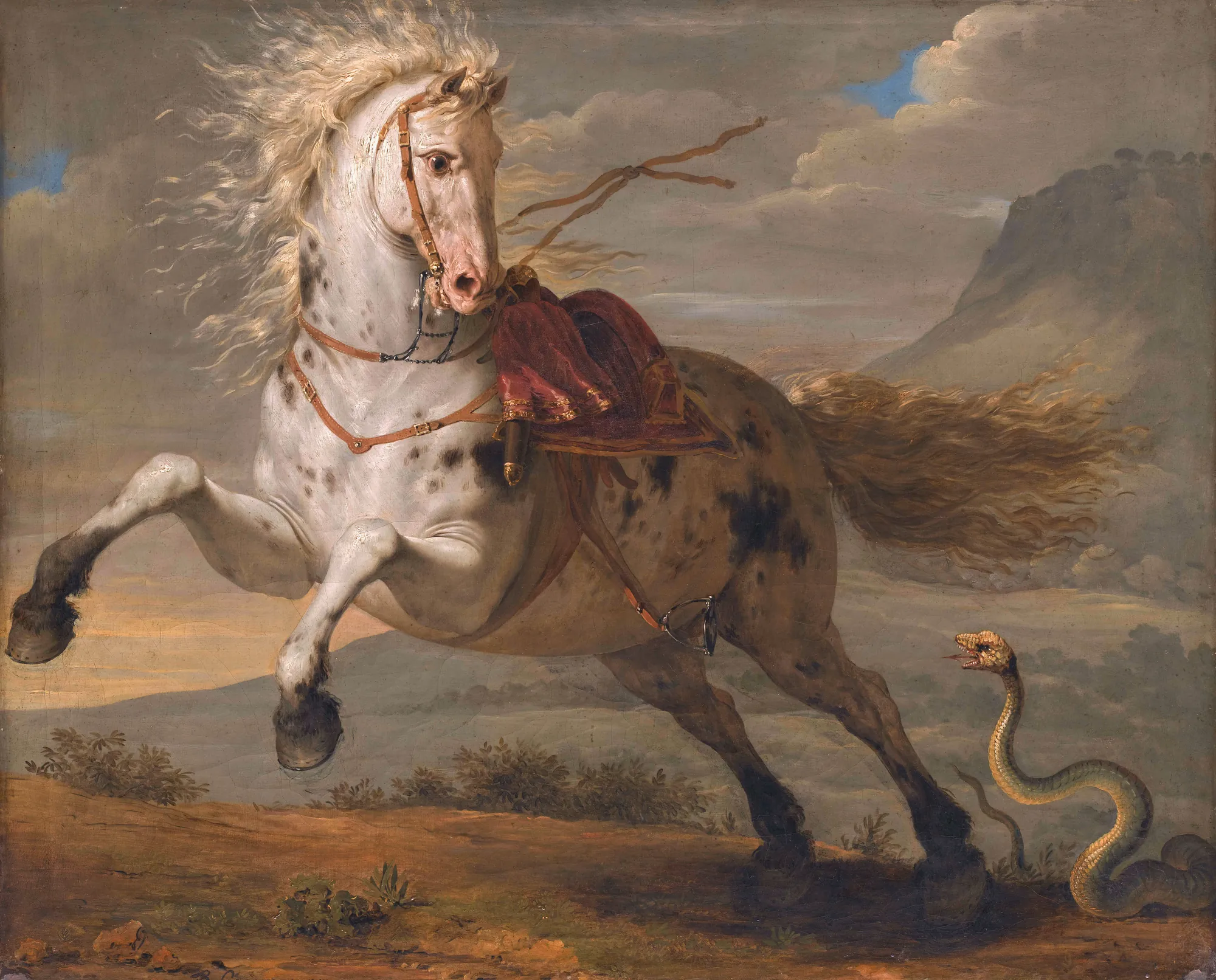 The Horse and the Snake