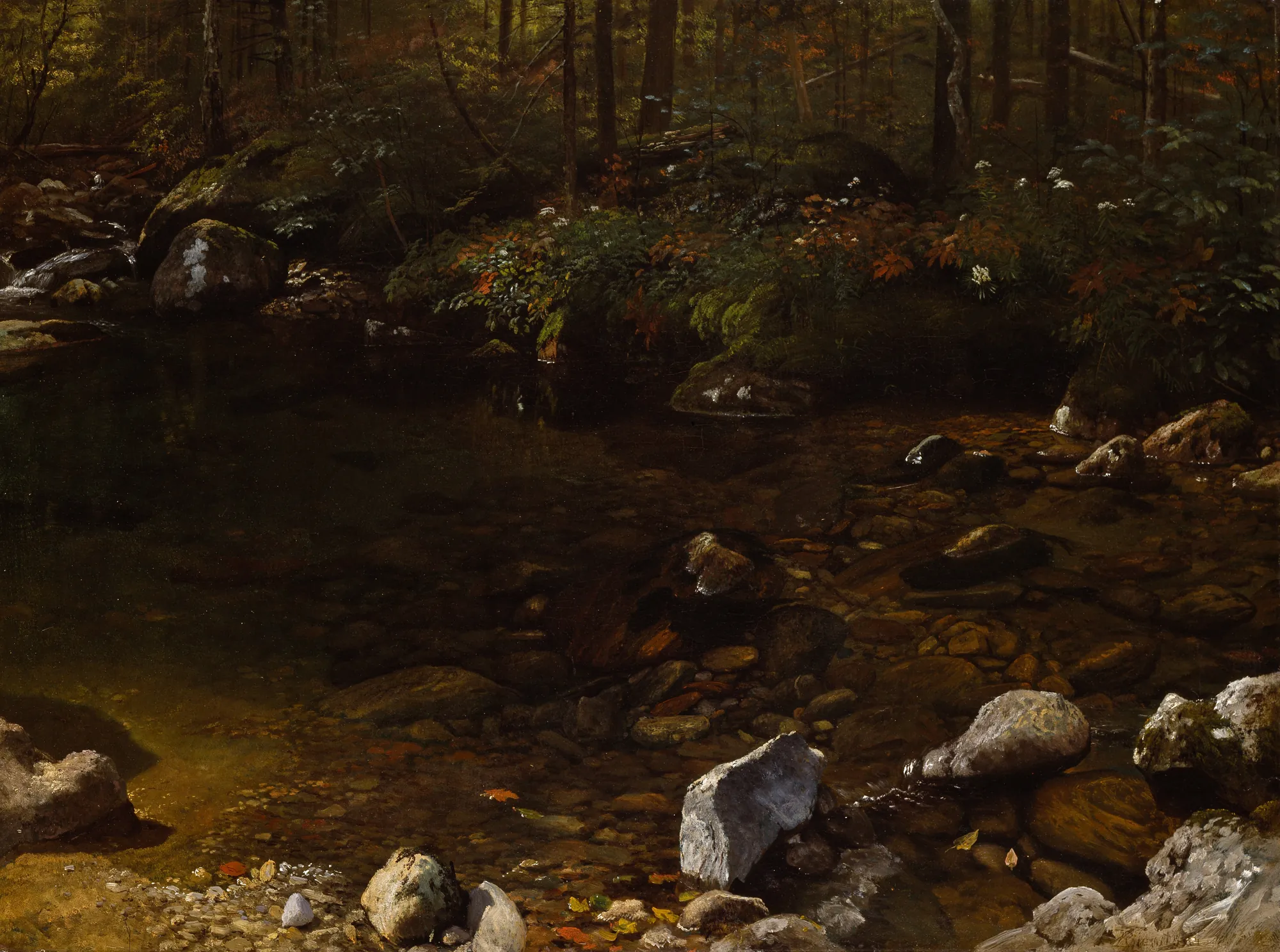 Shady Pool, White Mountains