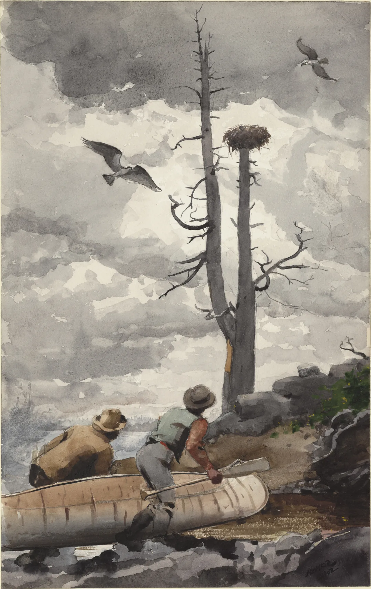 The Osprey's Nest