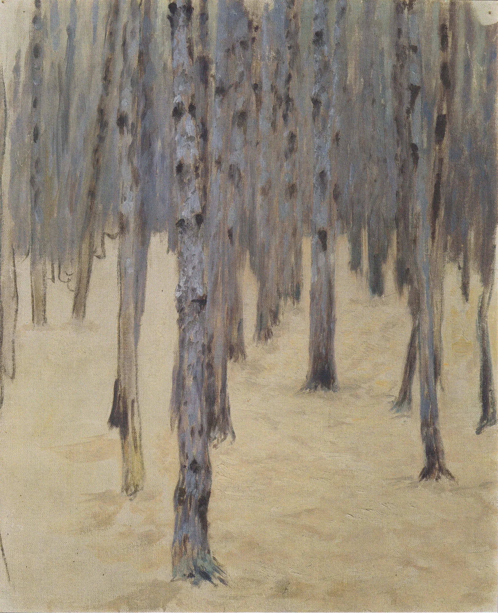 Pine Forest in Winter (Föhrenwald im Winter)