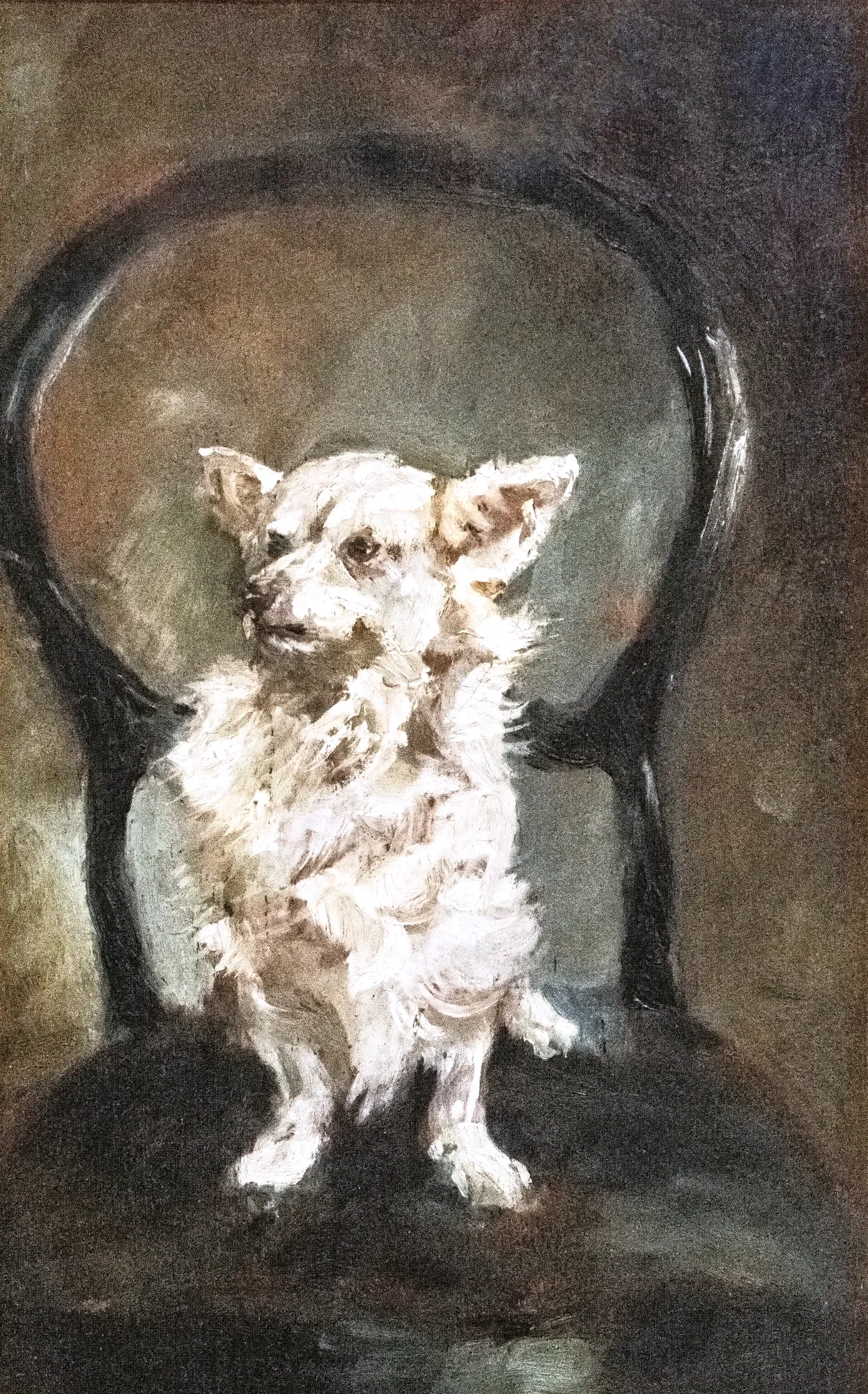 Small White Dog