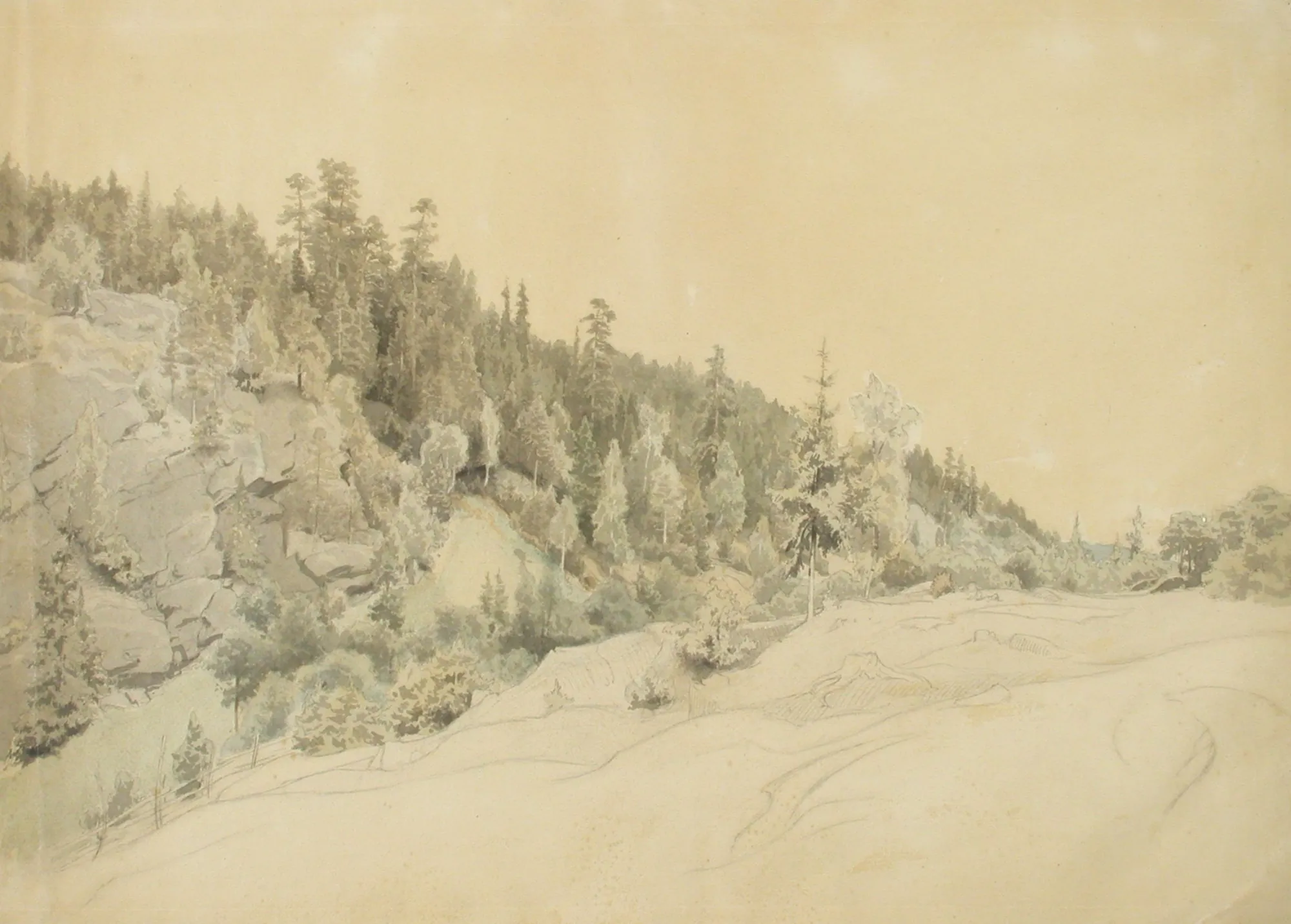 Landscape