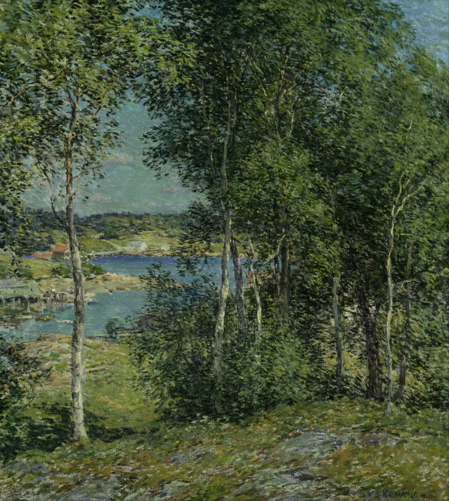 A Family of Birches