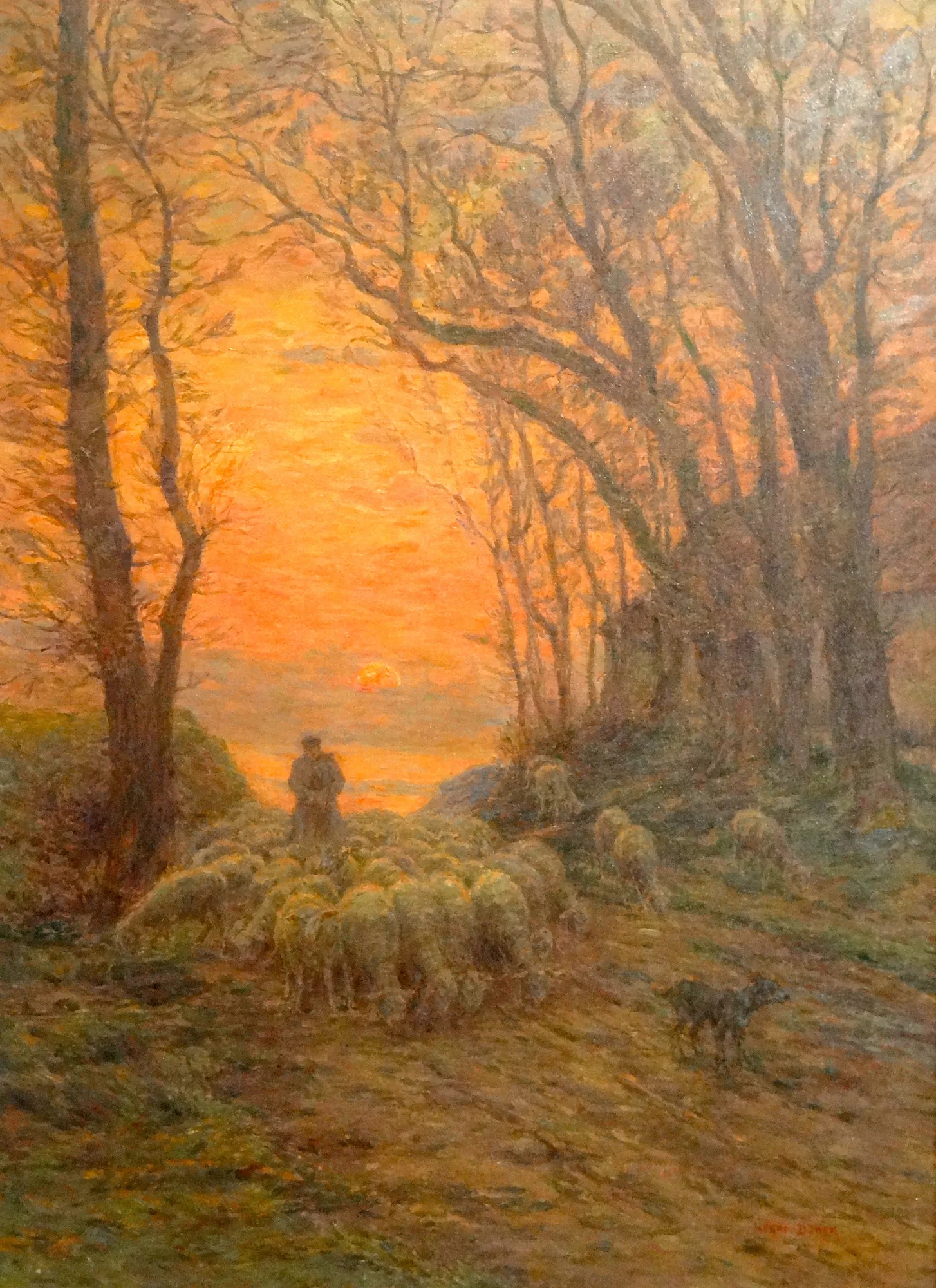 Return of the Shepherd