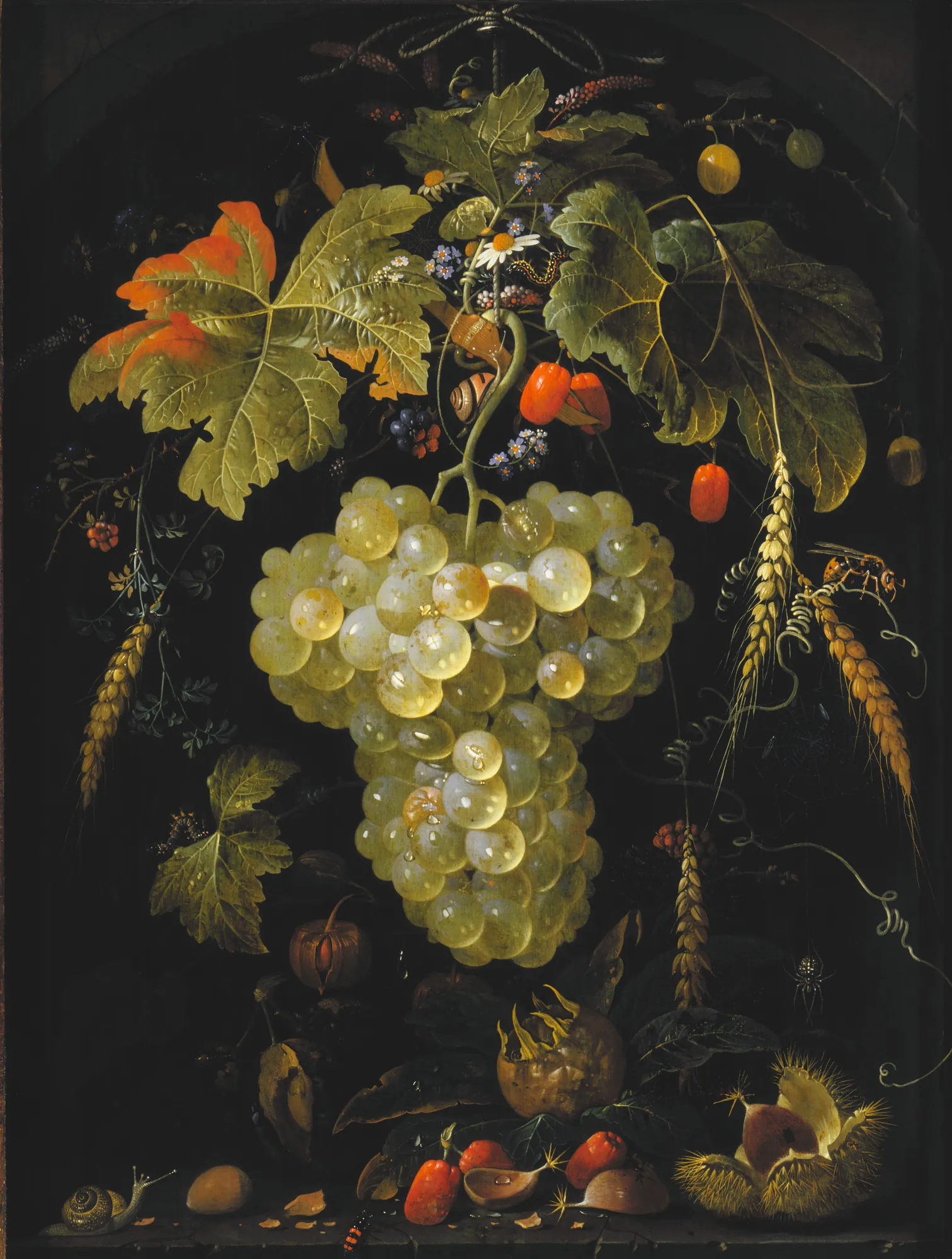 Festoon of Fruit Suspended from a Rope in a Niche
