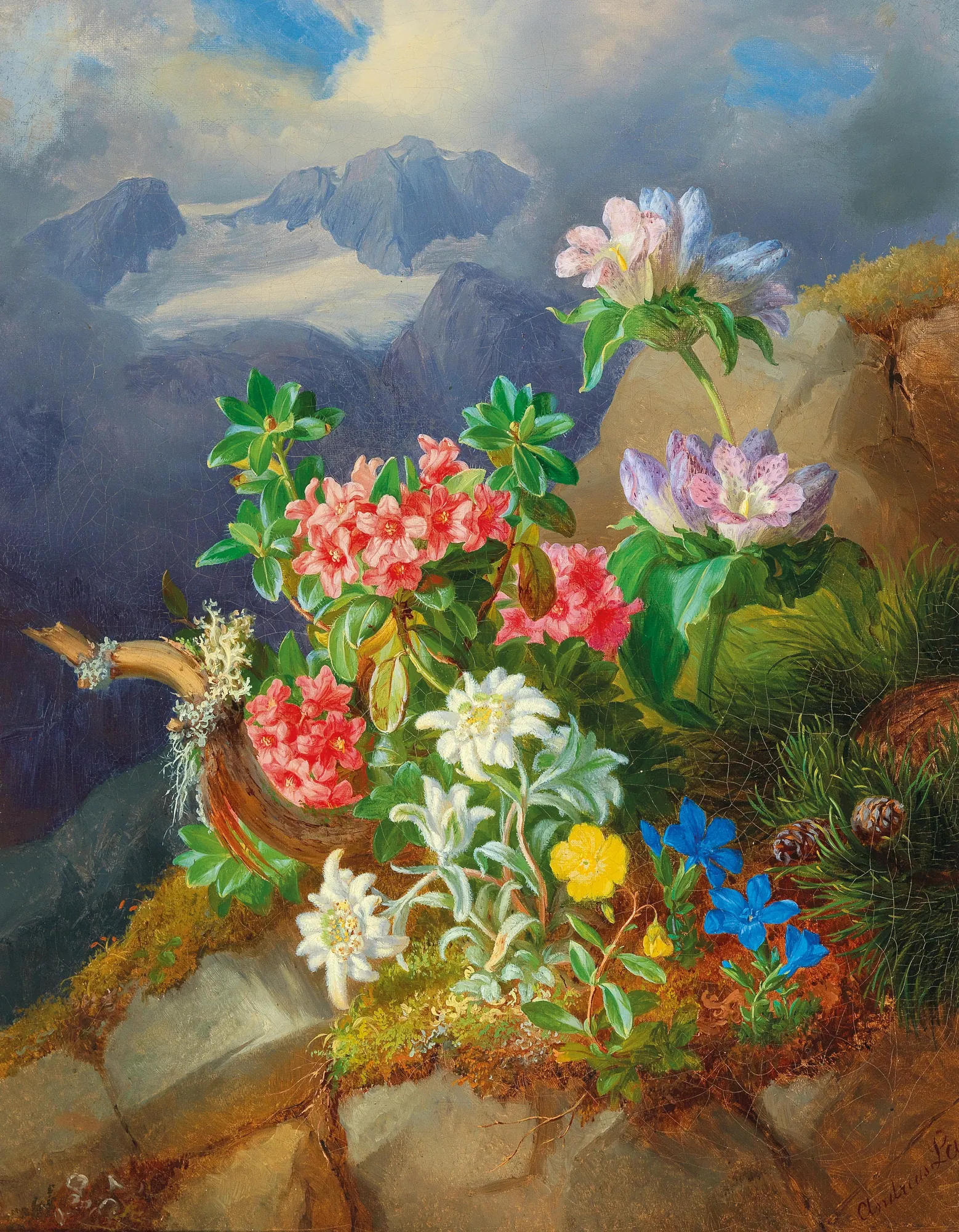 Alpine Flowers