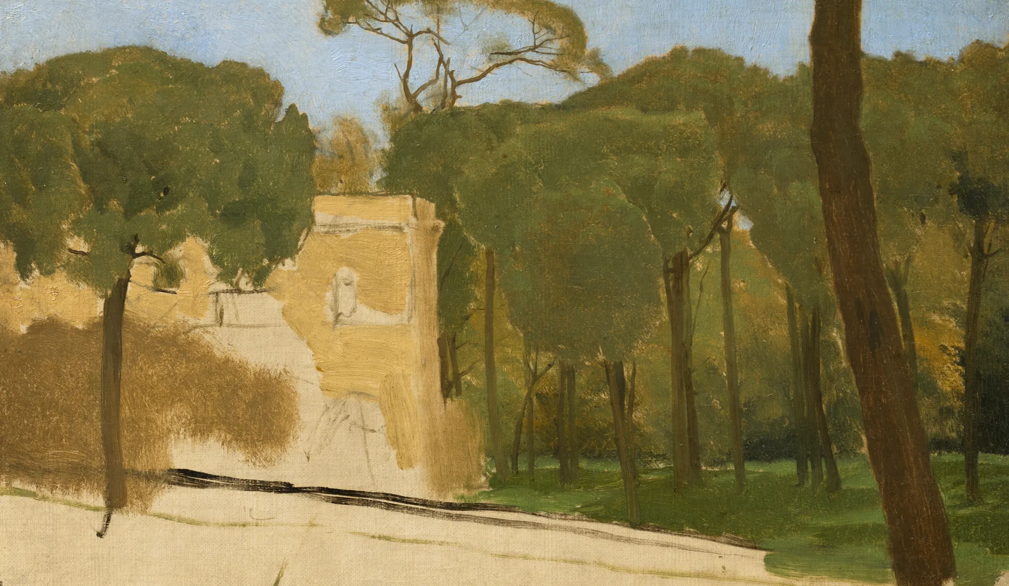Pine Trees in a Roman Park