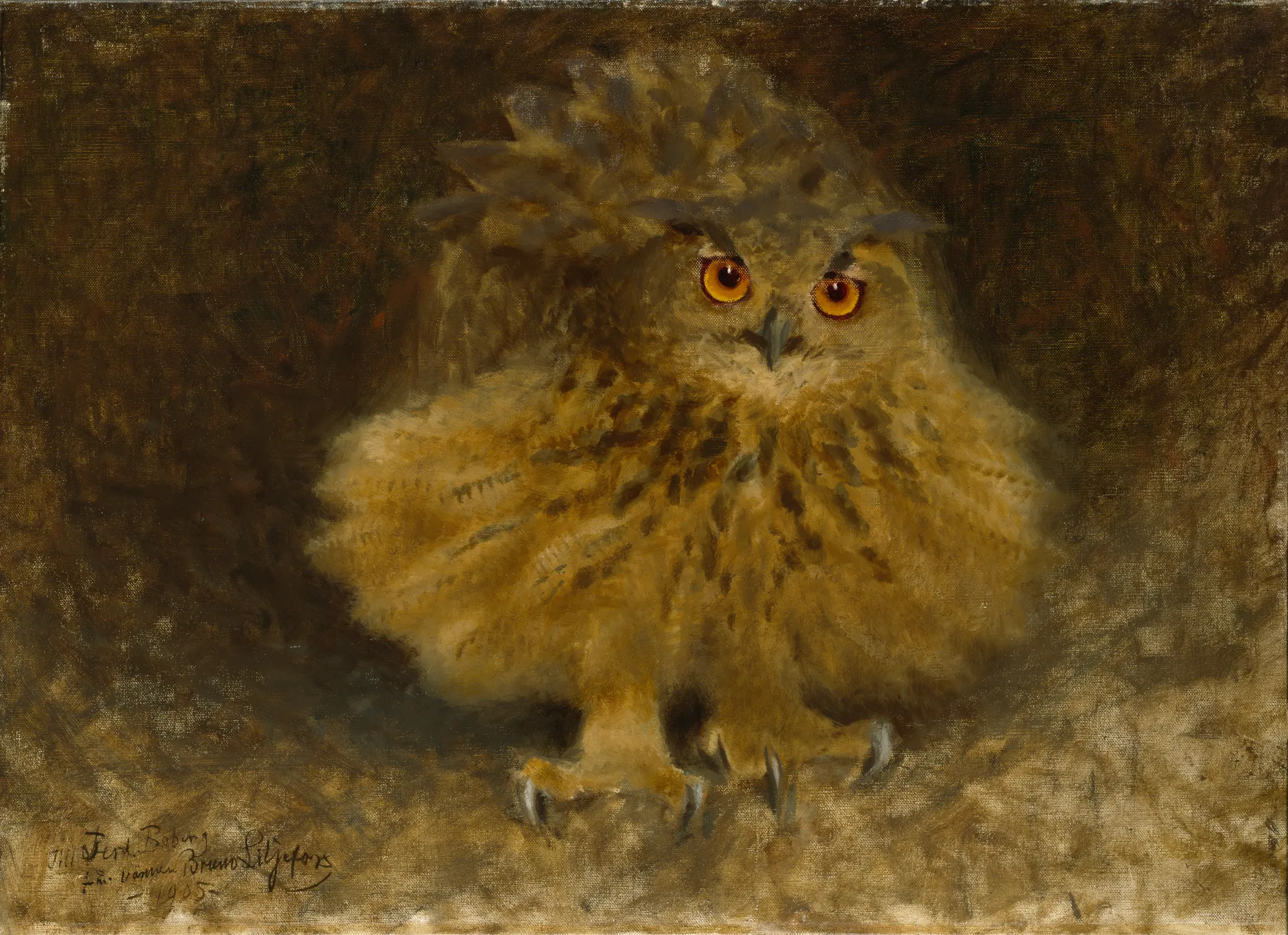 Eagle Owl