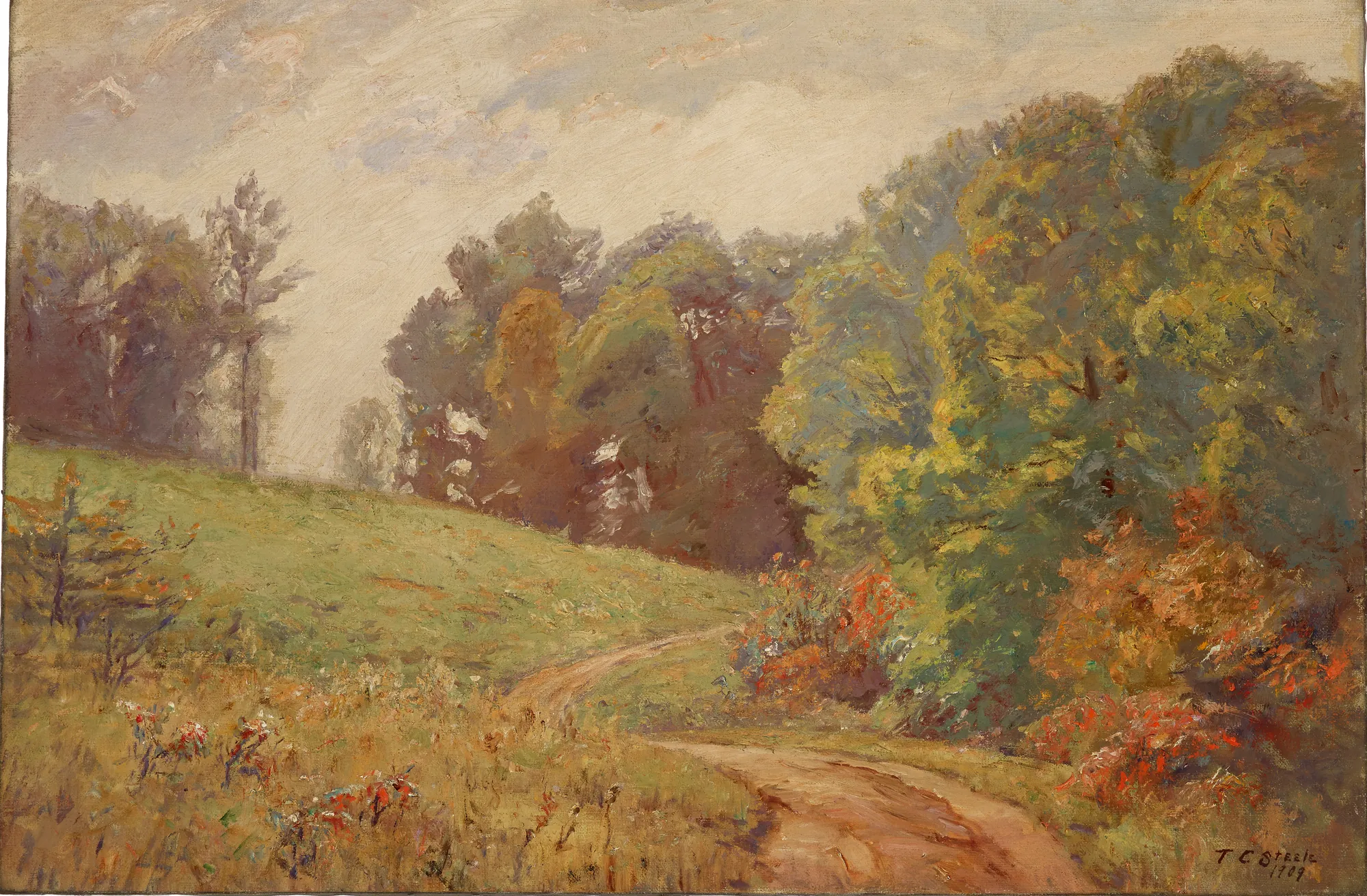 Indiana Landscape