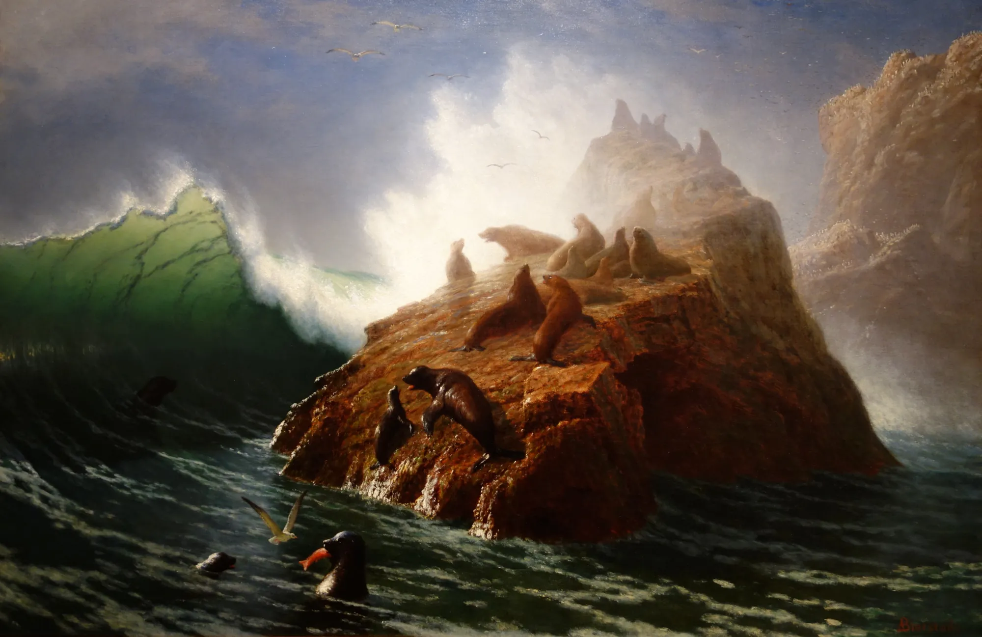 Seal Rock