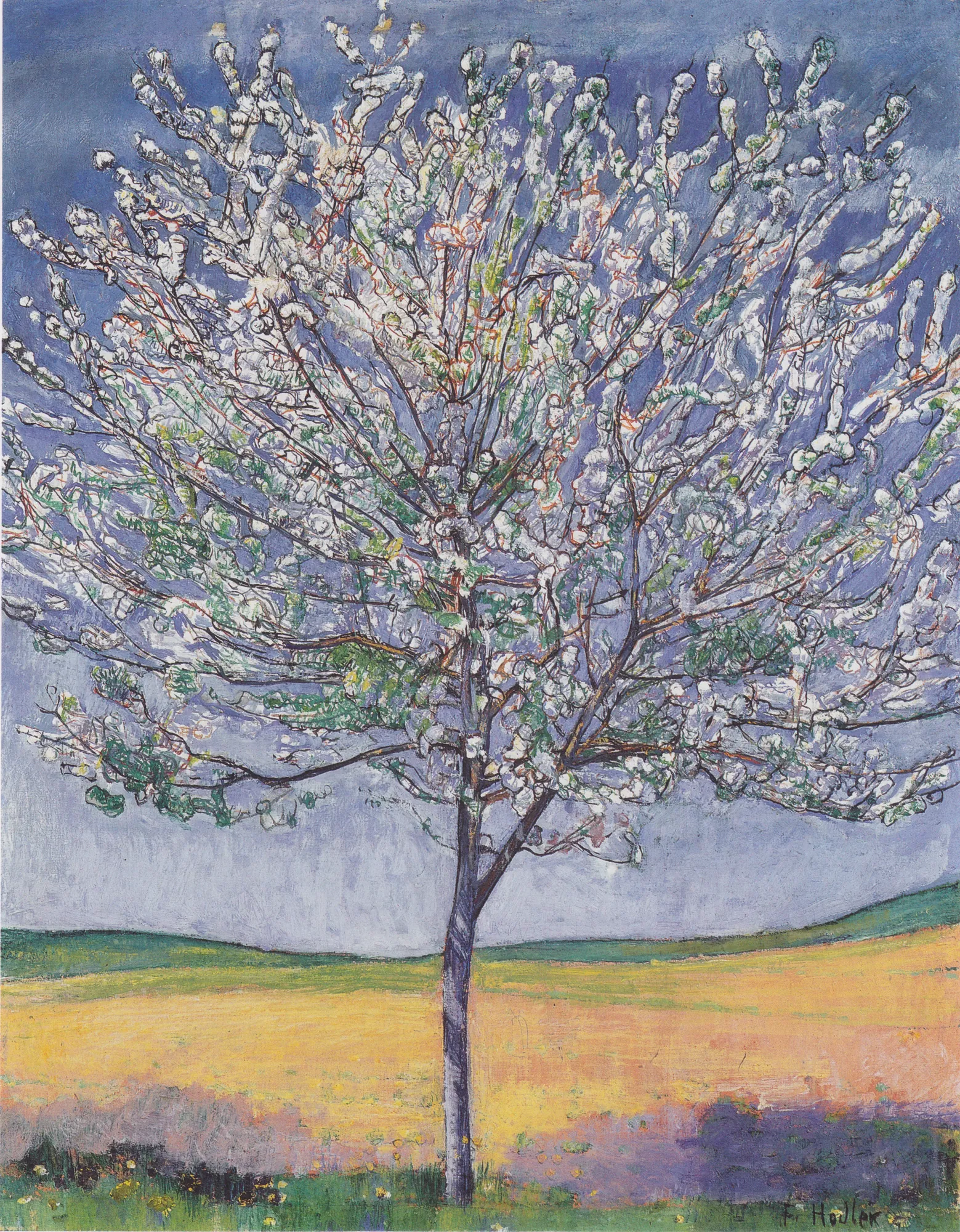 Blühender Kirschbaum (Blooming Cherry Tree)