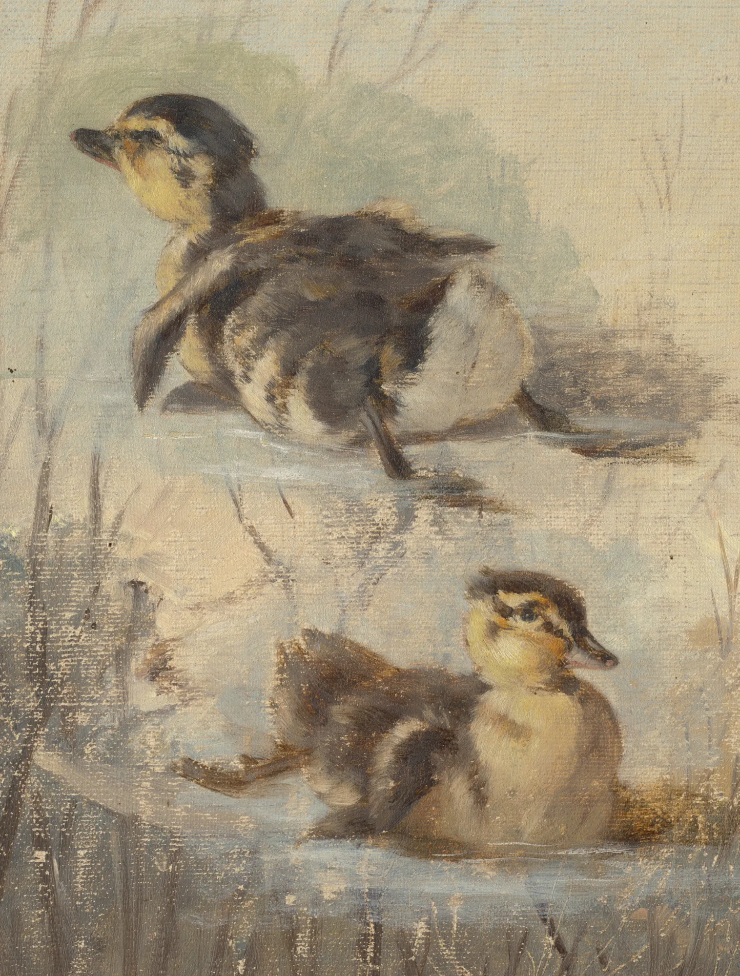 Study of Ducks on the Water