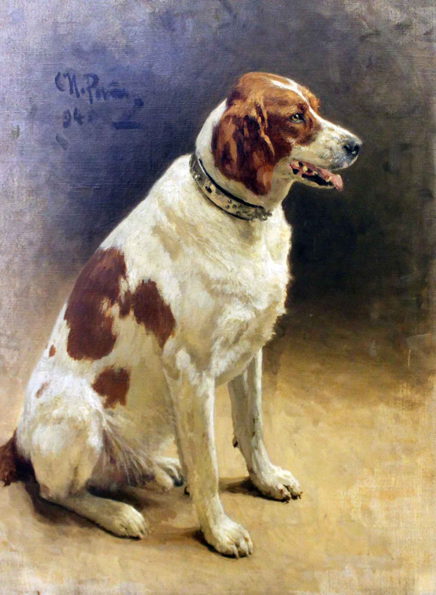 Dog Study
