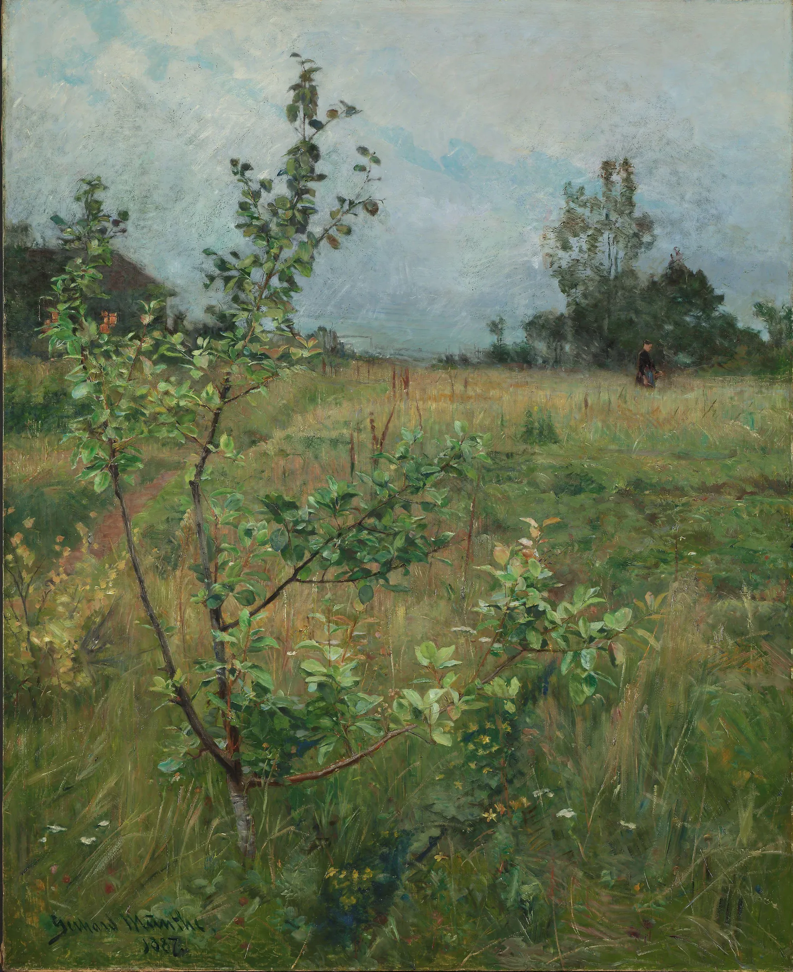 The Apple Tree The Apple Tree by Gerhard Munthe. A slender young apple tree stands in a grassy field under a soft, overcast sky, with a house and a distant figure visible in the background.