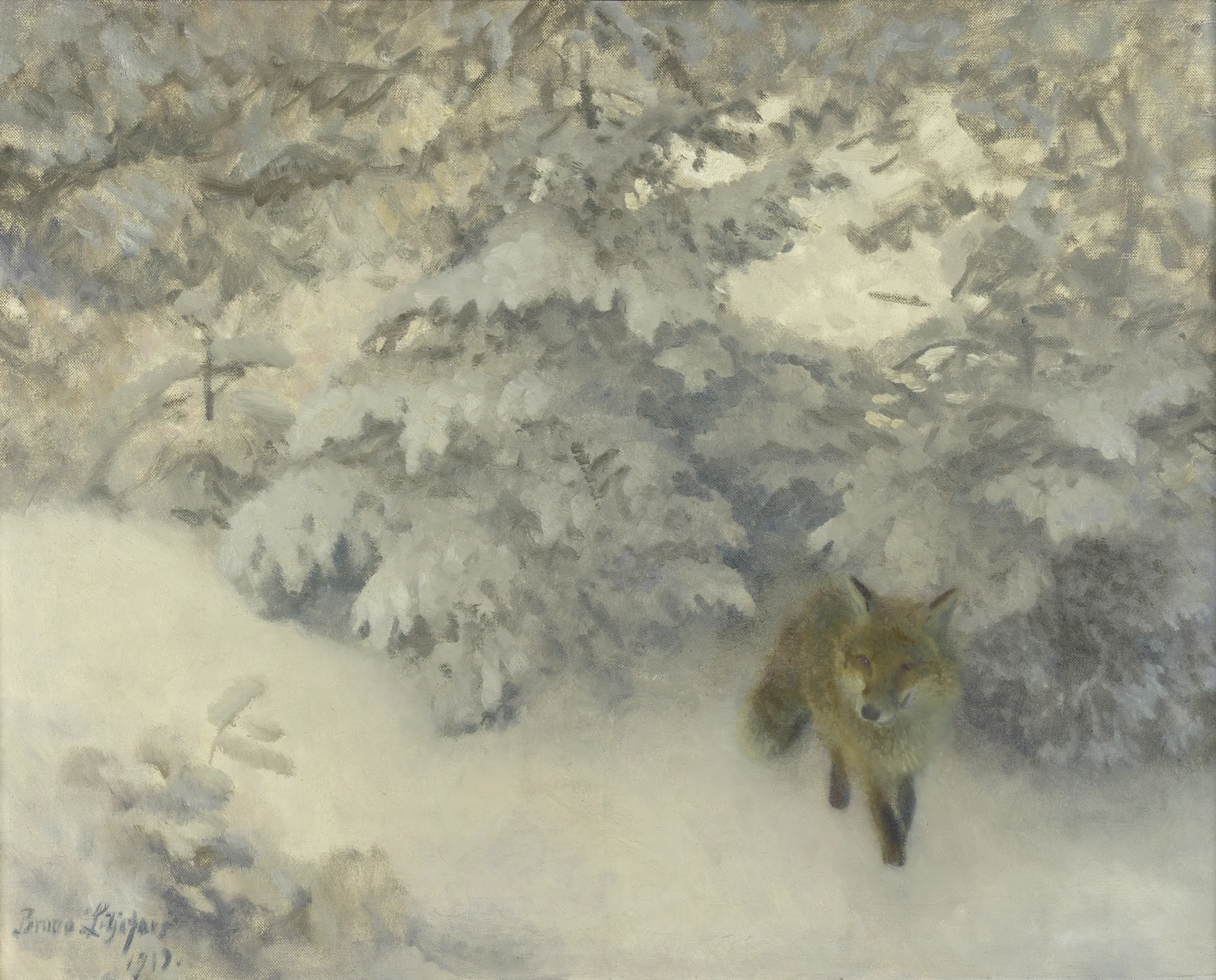 Fox Emerging from a Snowy Forest Edge