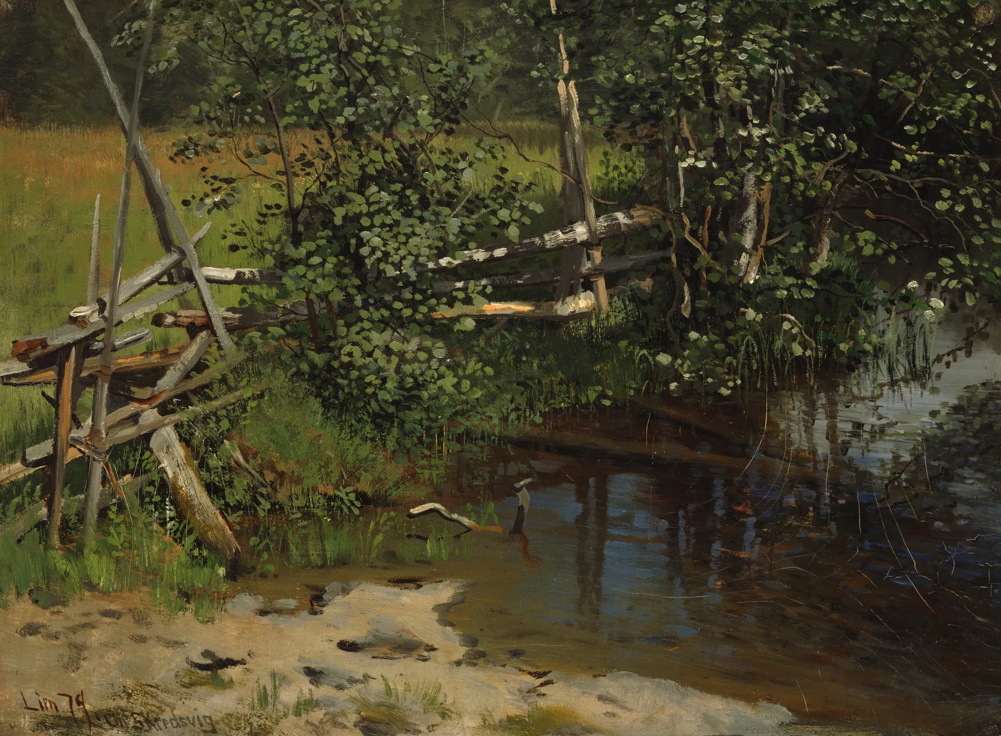 The Tarn