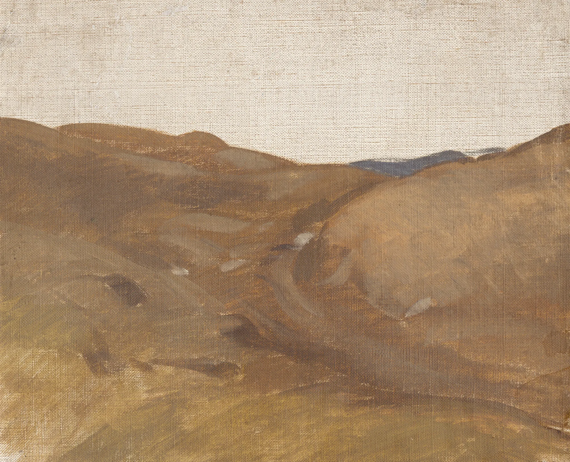 Landscape with a White Sky