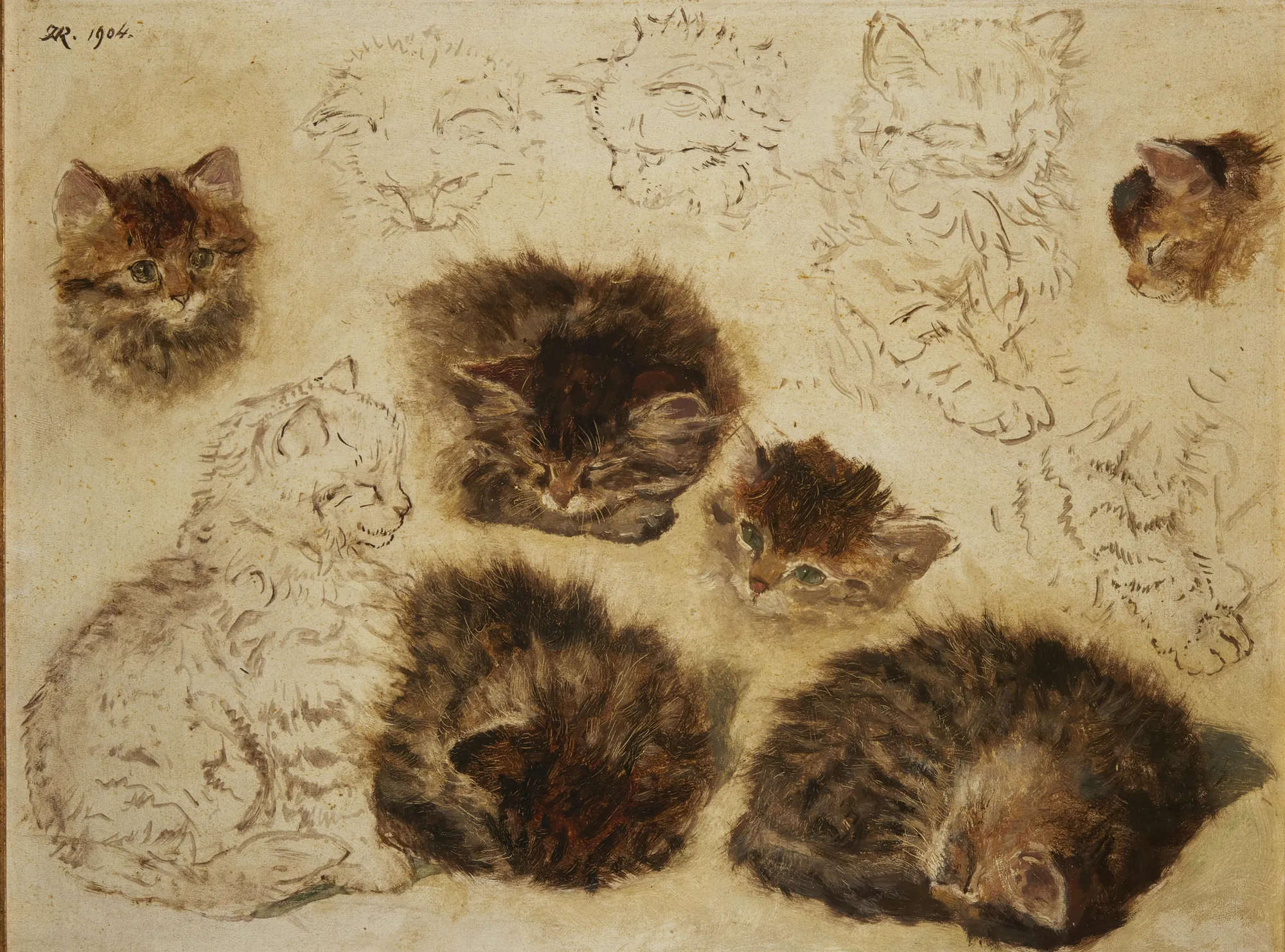 Study of Eleven Kittens