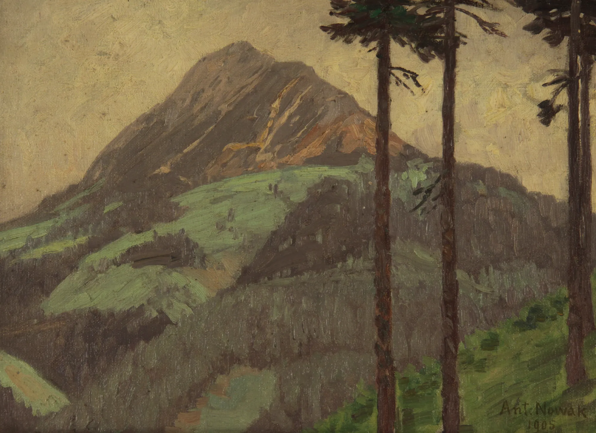 Rettenstein pri Filzmoosu Rettenstein pri Filzmoosu by Anton Nowak. An atmospheric oil painting depicting a rocky mountain peak rising above a green valley, framed by tall pine trees in the foreground.